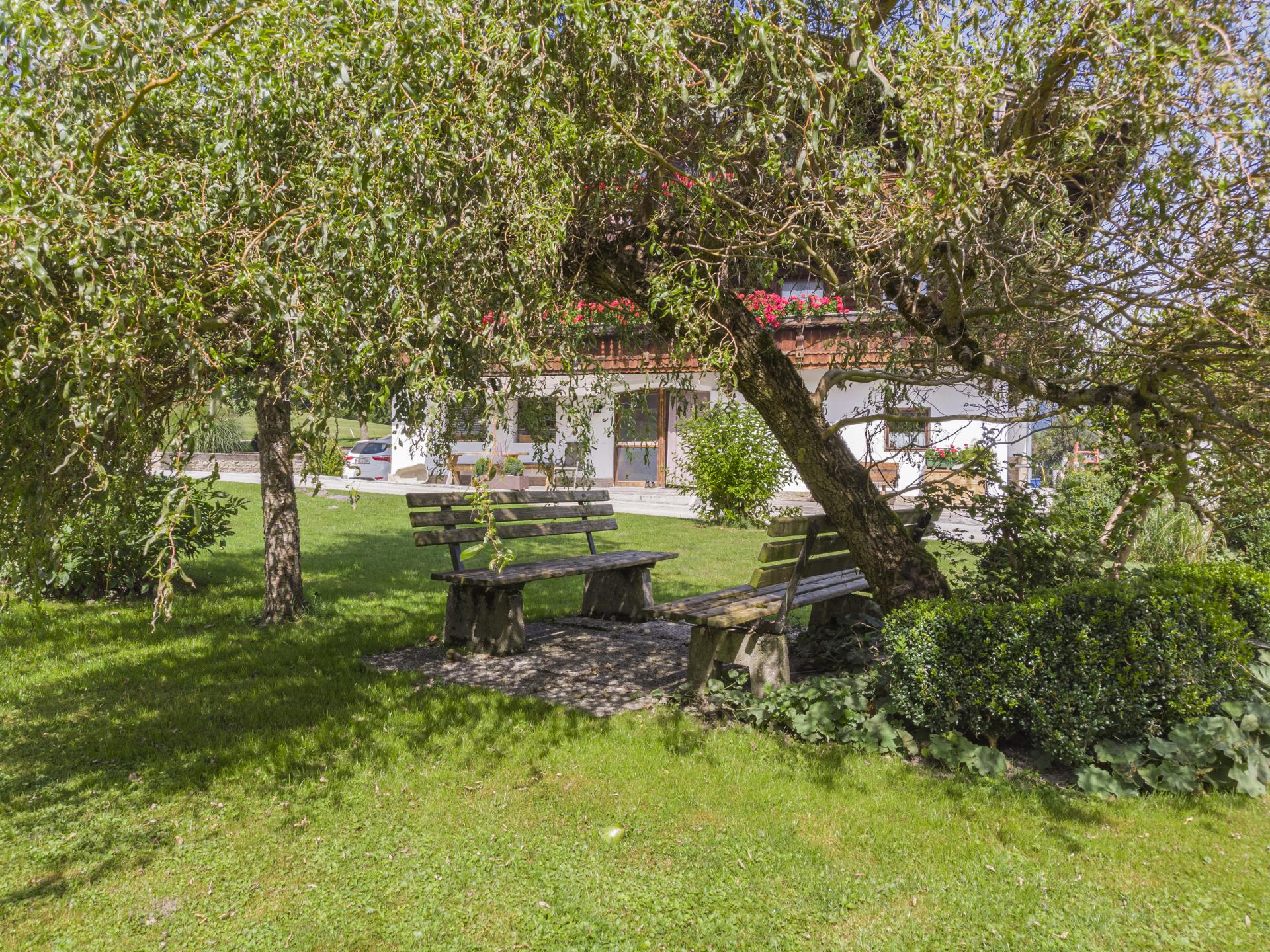 Ruim boerderij-appartement voor 12 personen, 50 meter van de skilift - foto 44