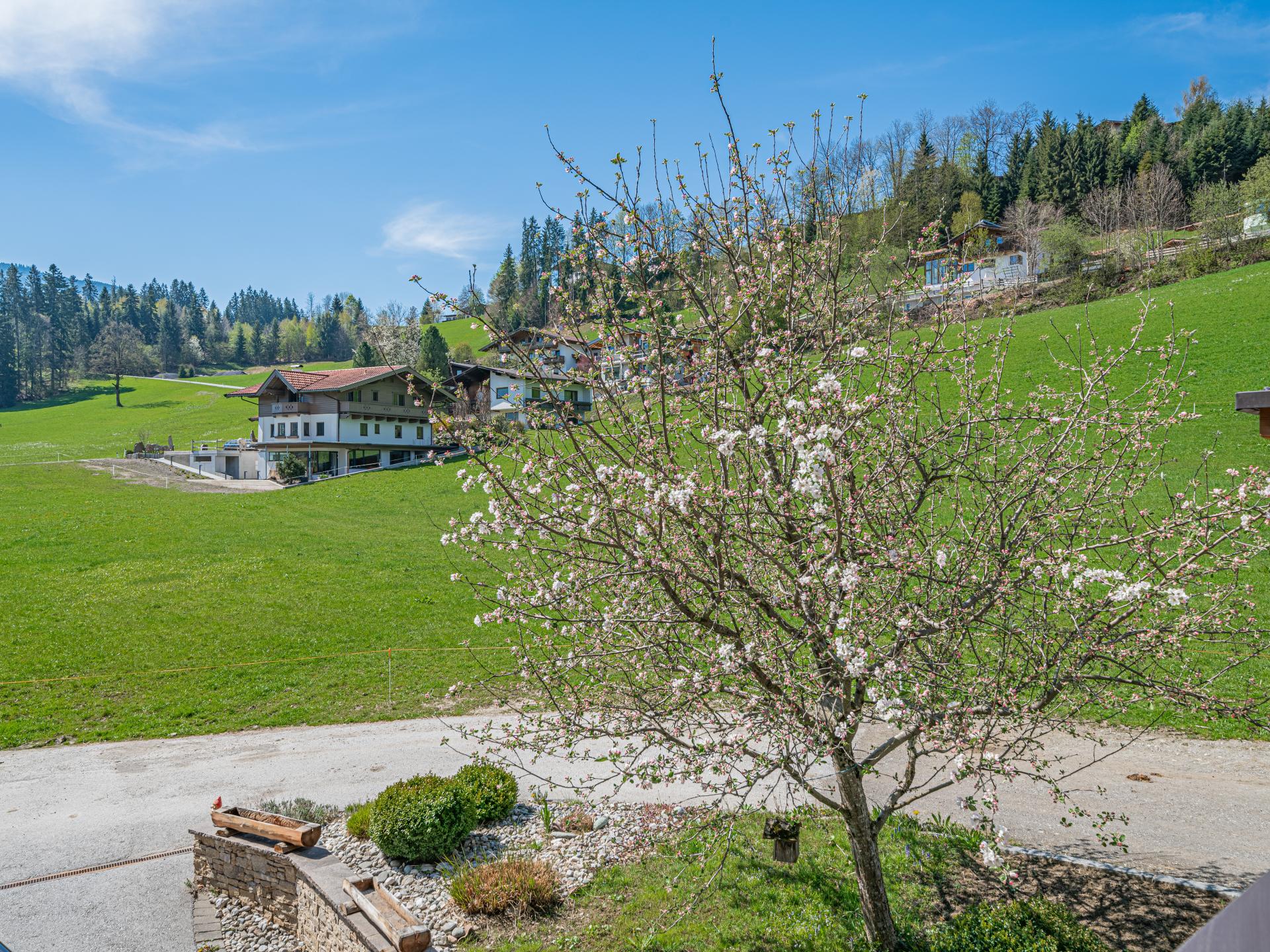 Ruim boerderij-appartement voor 12 personen, 50 meter van de skilift - foto 6