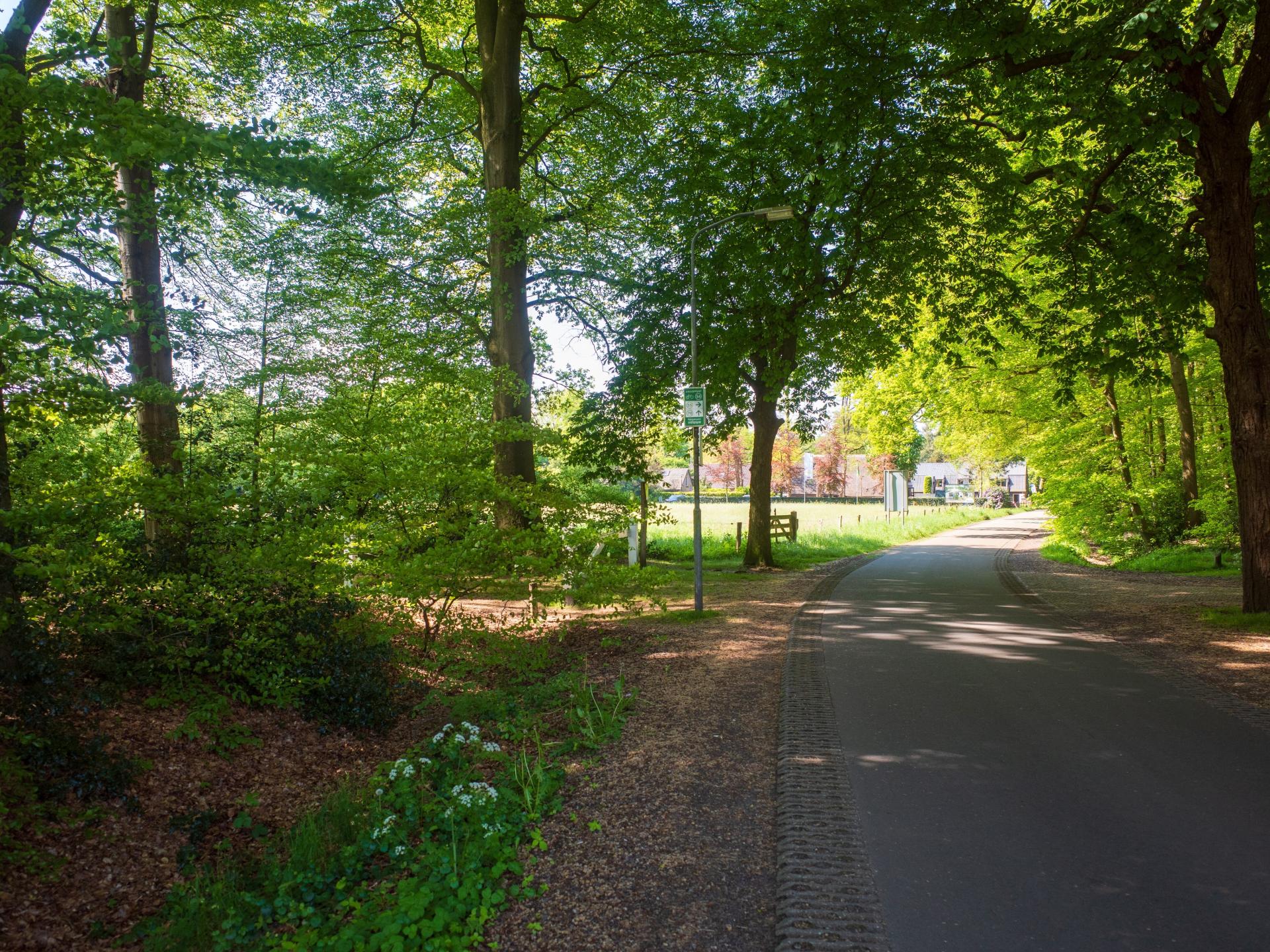 Duurzaam vakantiehuisje met sauna op de Veluwe, 100m van centrum - foto 51