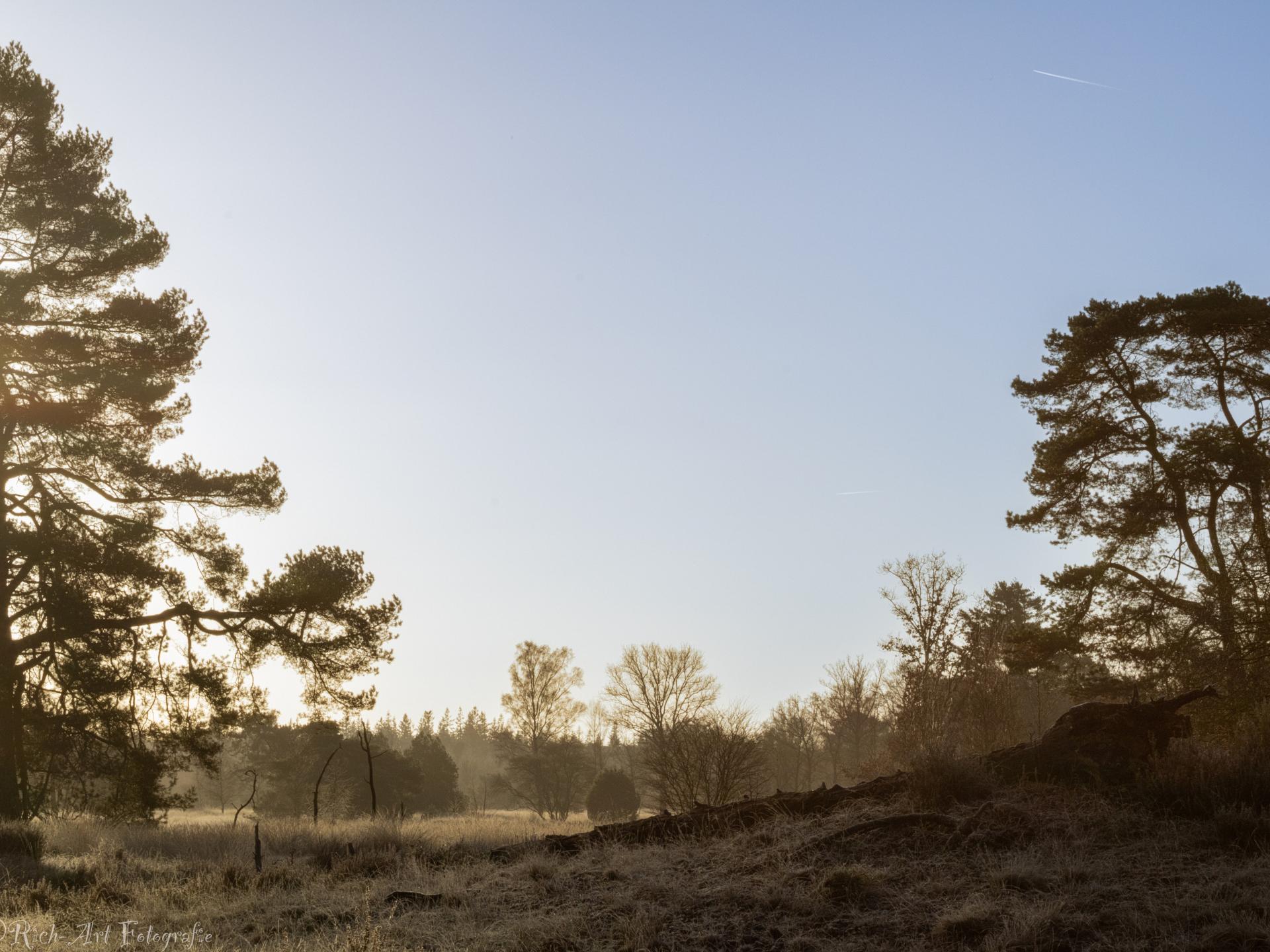 Duurzaam vakantiehuisje met sauna op de Veluwe, 100m van centrum - foto 45
