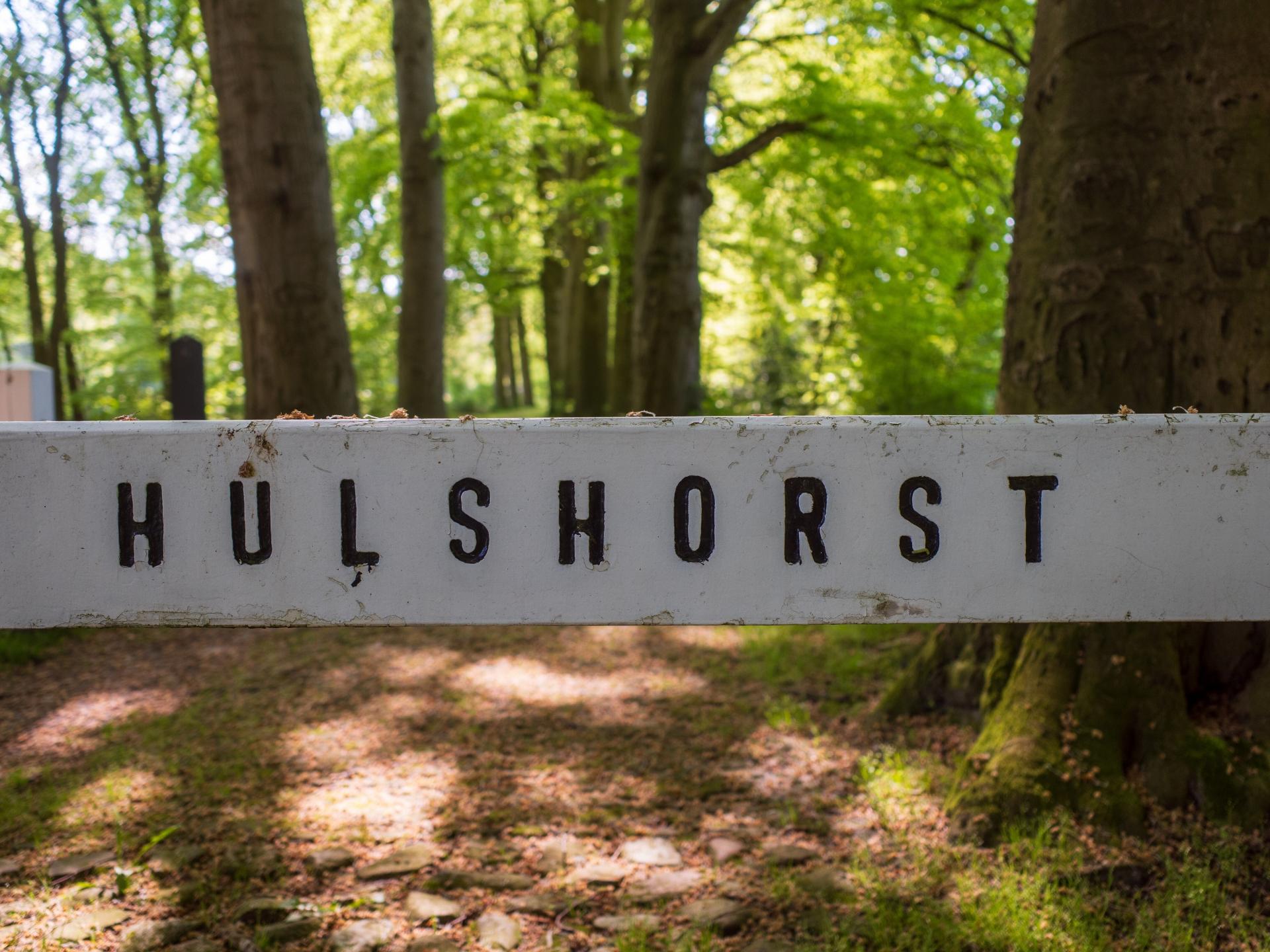 Duurzaam vakantiehuisje met sauna op de Veluwe, 100m van centrum - foto 55