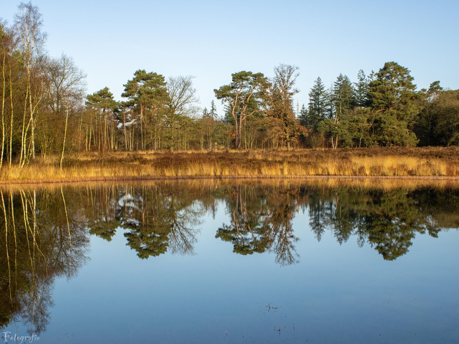 Duurzaam vakantiehuisje met sauna op de Veluwe, 100m van centrum - foto 18