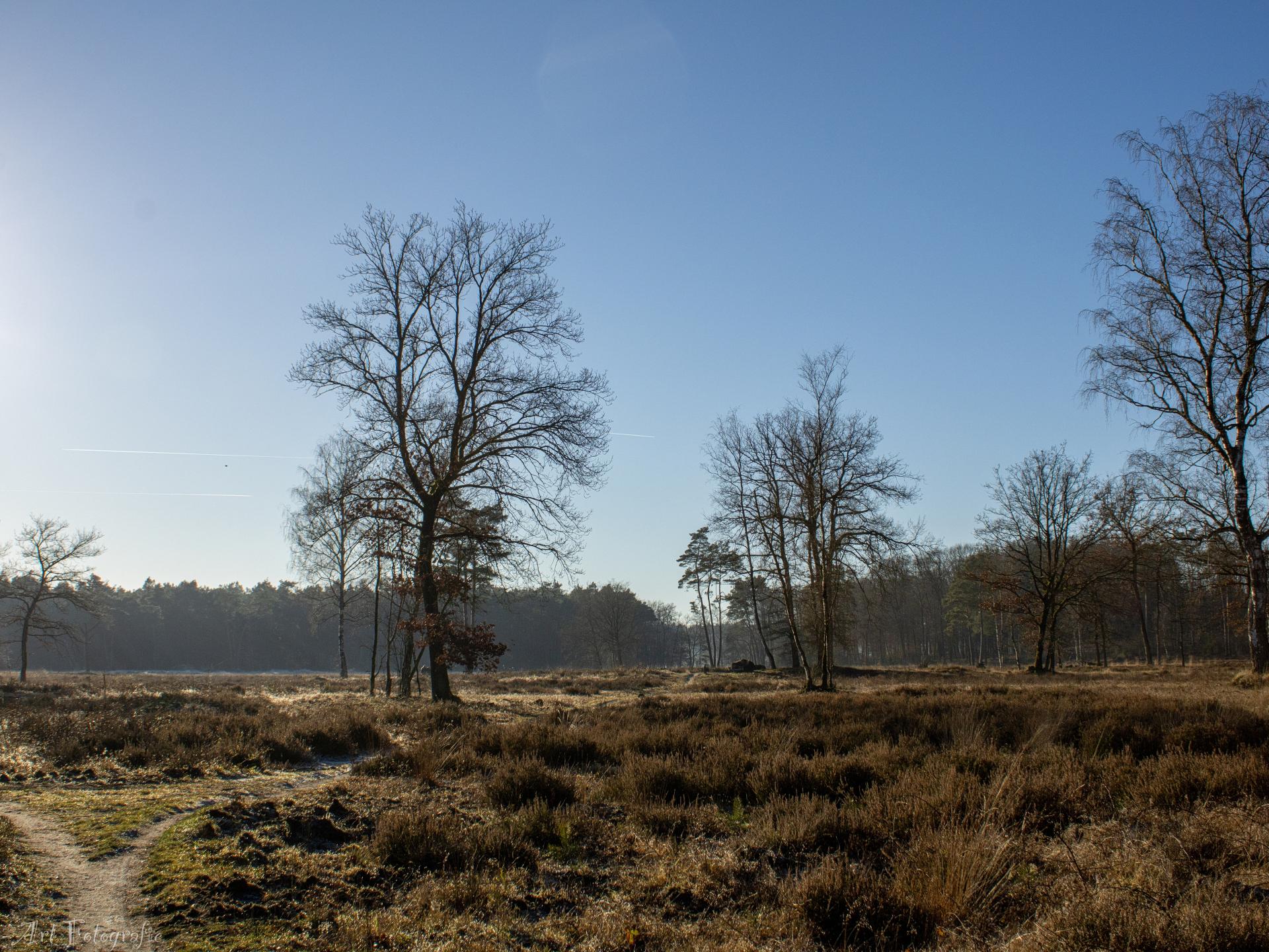 Knus chalet met gashaard op de Veluwe, nabij bos en water - foto 20
