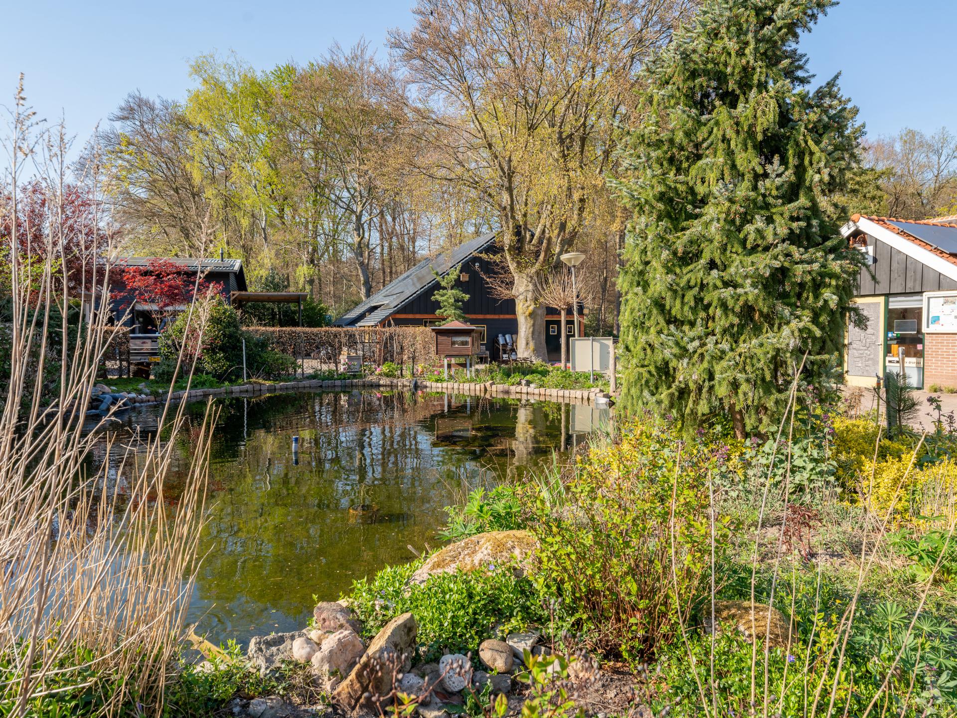 Knus chalet met gashaard op de Veluwe, nabij bos en water - foto 21