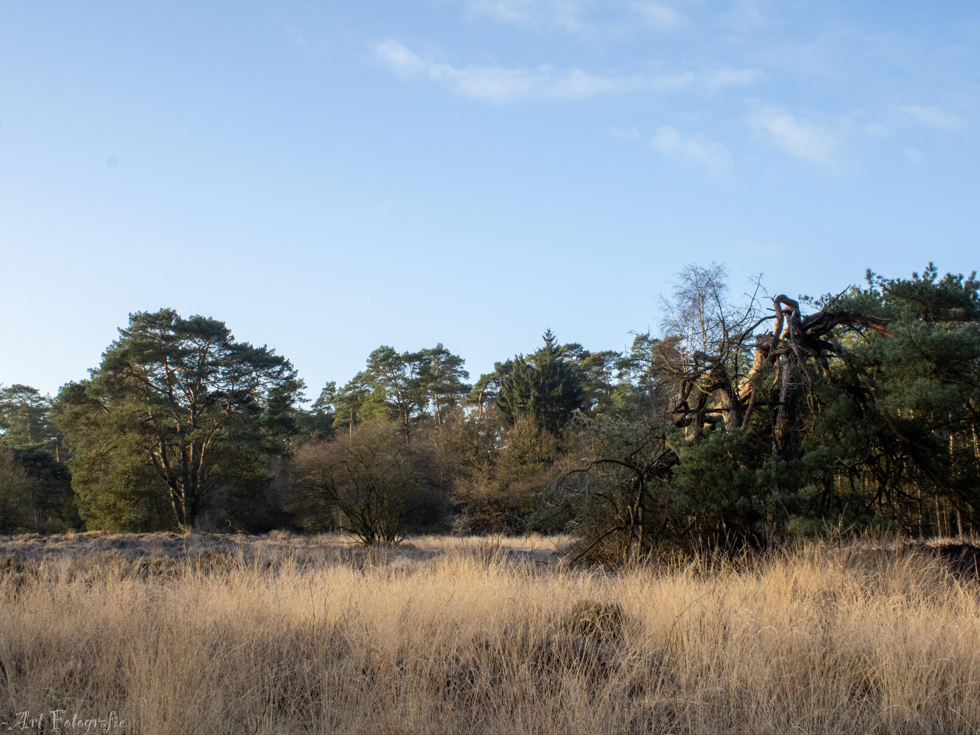 Duurzame tiny house op de Veluwe met uitzicht op kinderboerderij - foto 38