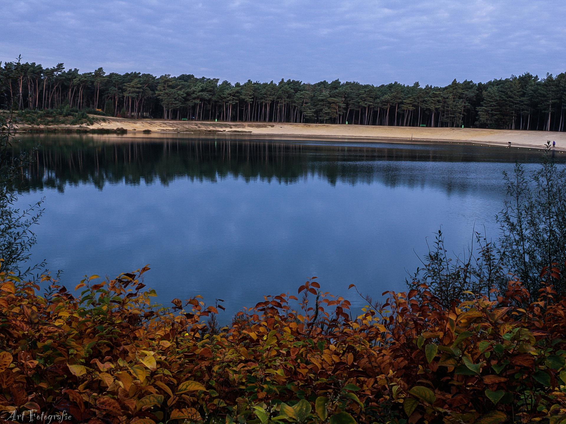 Tiny house aan de Veluwe: rust, natuur en avontuur voor 4 personen - foto 31
