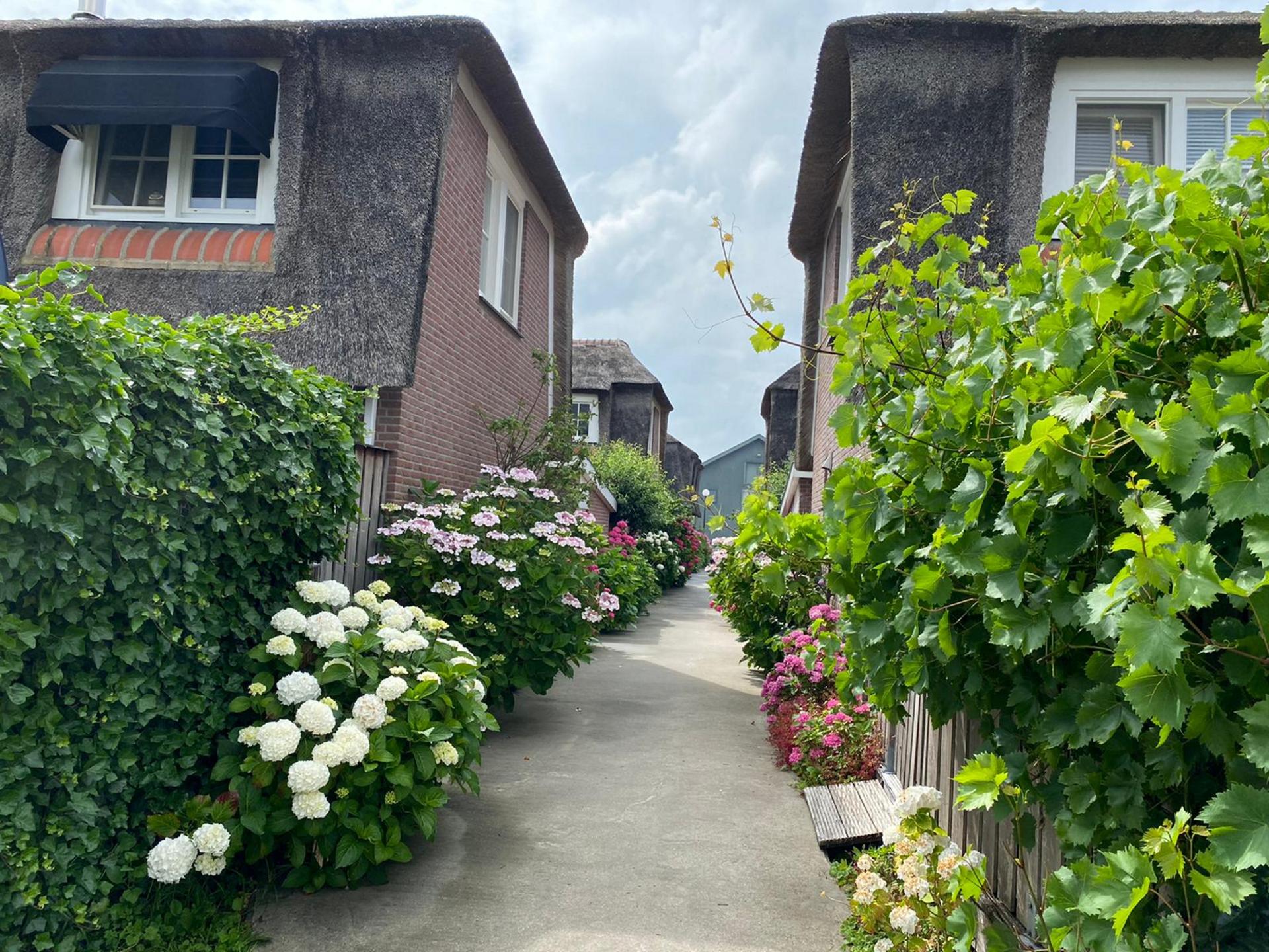 Vrijstaand vakantiehuis met privéterras aan het water in Breukelen - foto 28