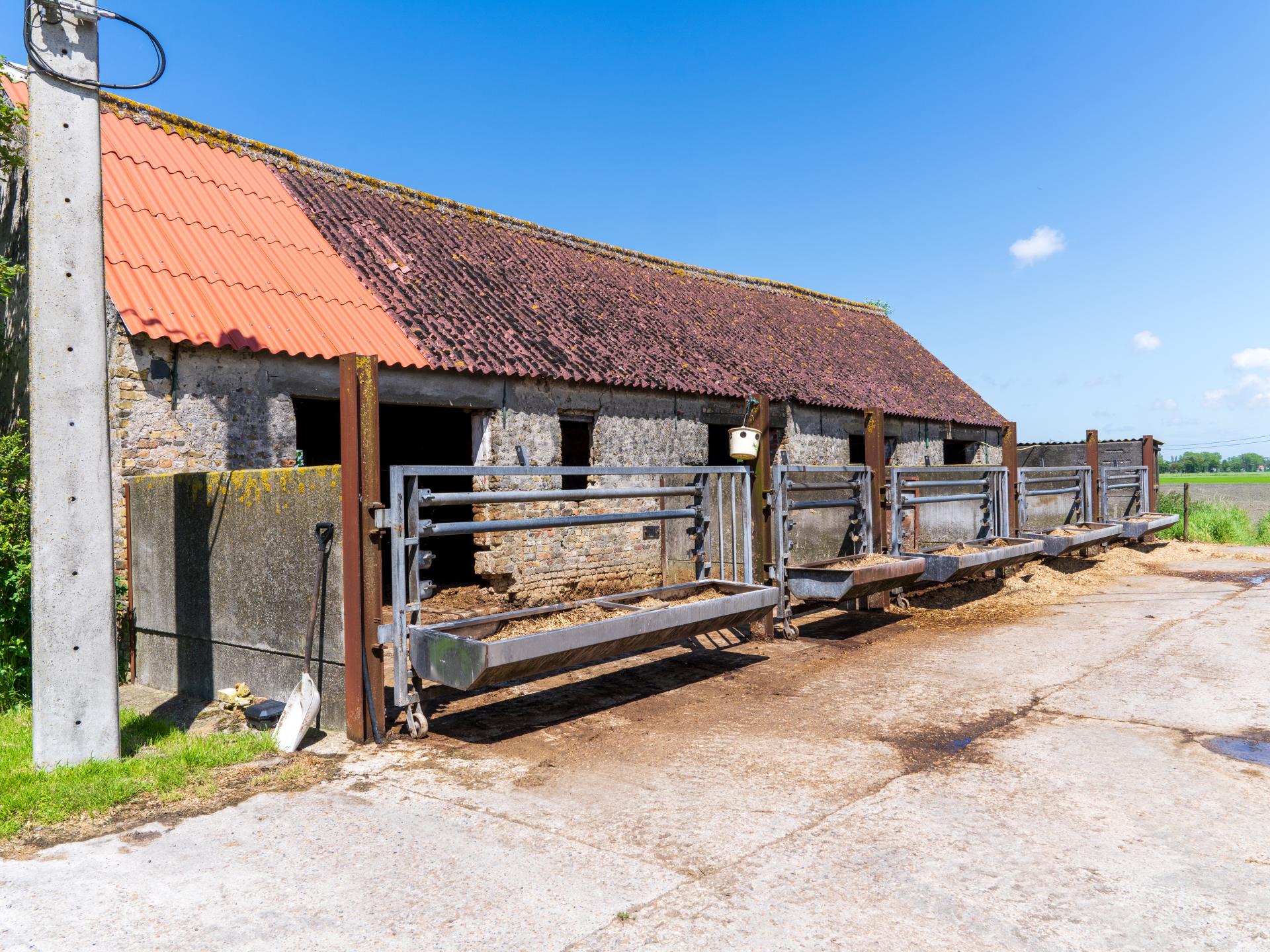 Ruim familiehuis op een boerderij in Middelkerke voor 16 personen - foto 65