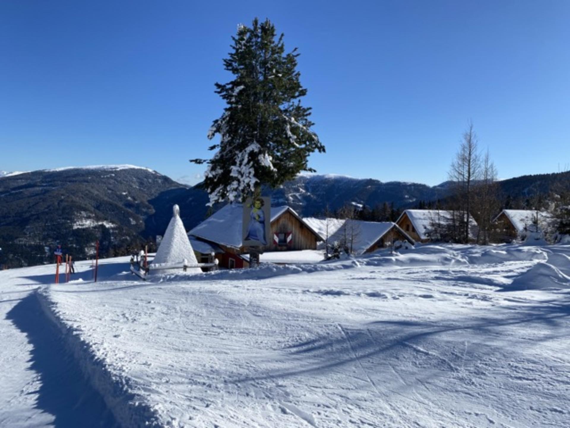 Centraal gelegen vakantiehuis in Kreischberg op 500m van de piste - foto 49