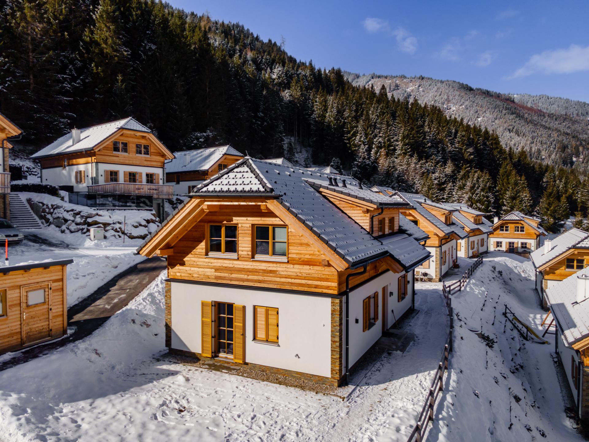 Luxe chalet voor 10 personen met sauna direct aan de piste in Donnersbachwald - foto 28