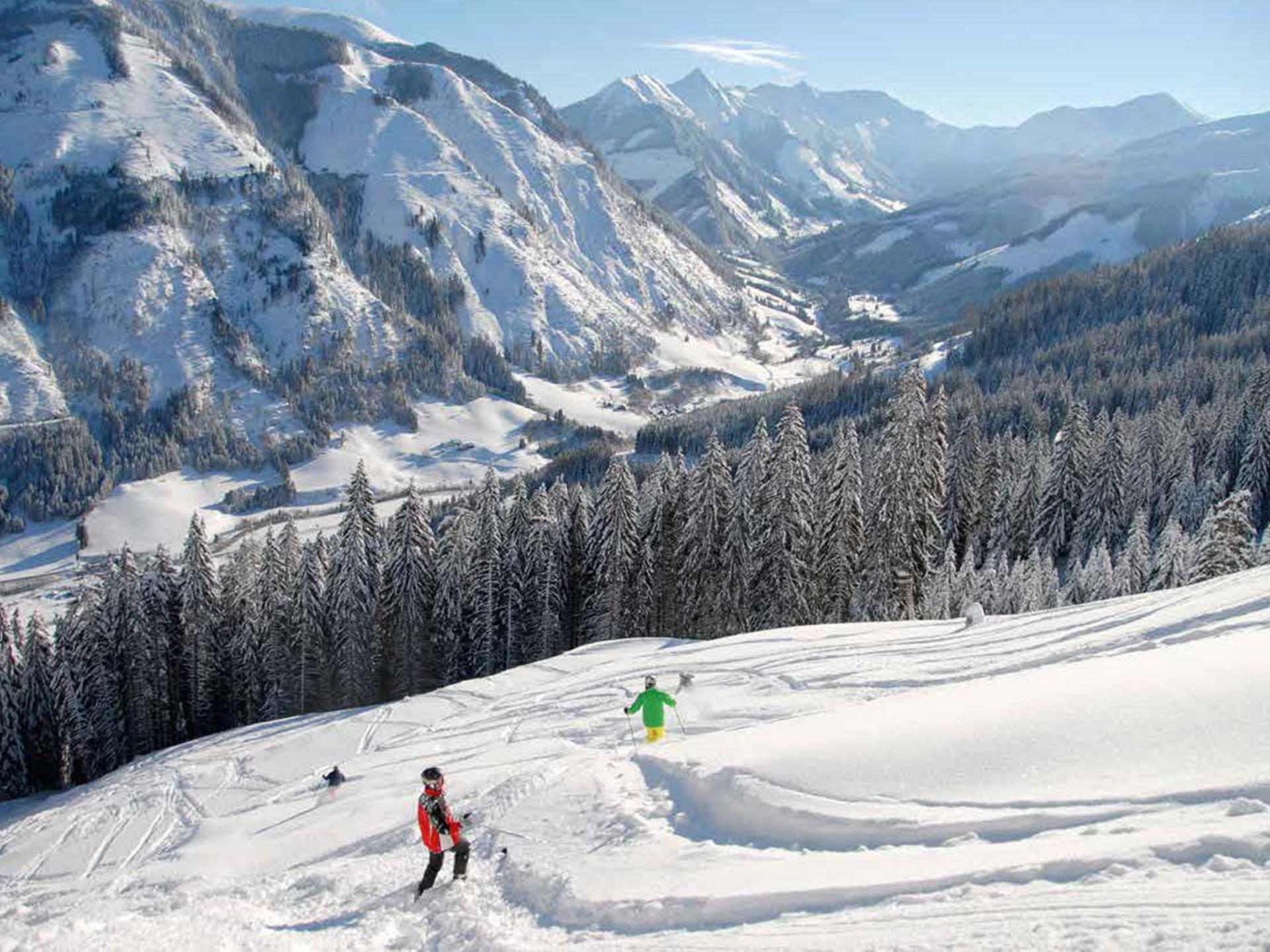 Luxe chalet voor 10 personen met sauna direct aan de piste in Donnersbachwald - foto 27