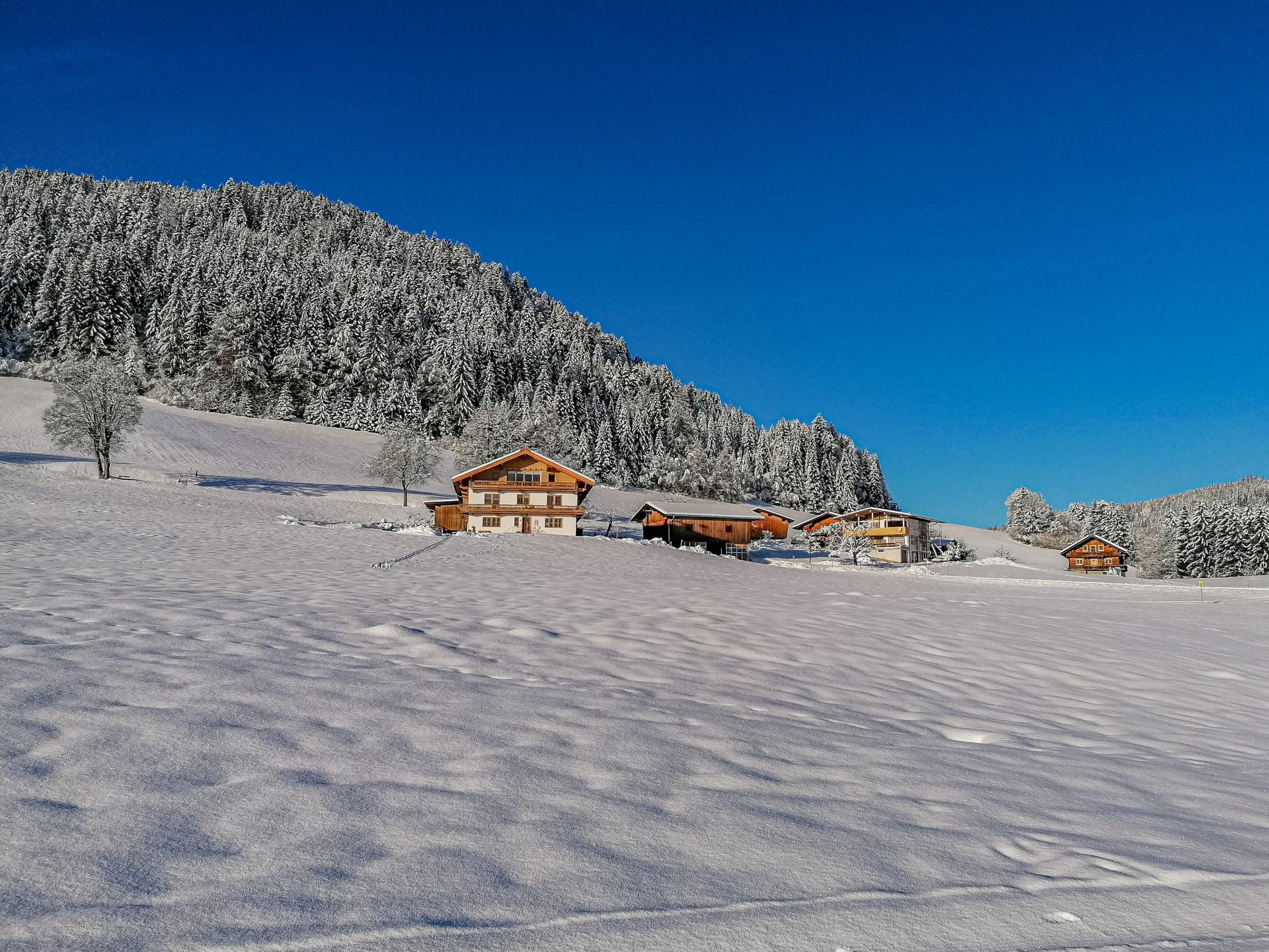 Ruim appartement op boerderij met panoramisch bergzicht in Hopfgarten - foto 24