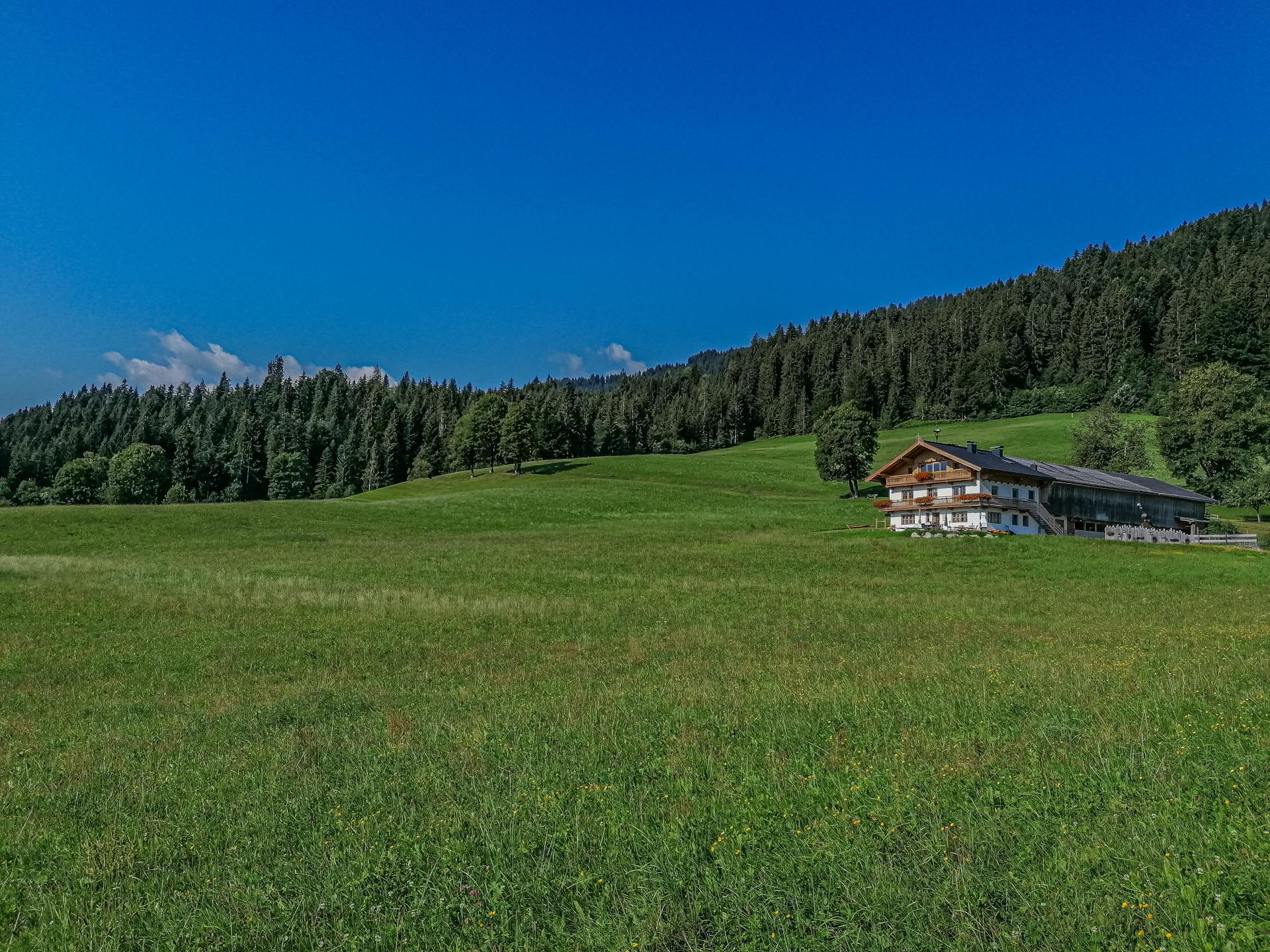 Ruim appartement op boerderij met panoramisch bergzicht in Hopfgarten - foto 16