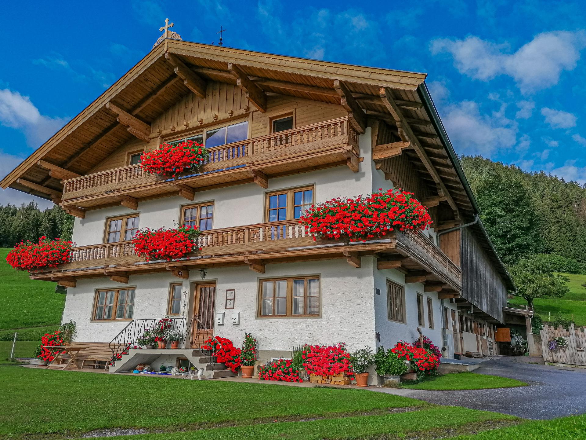 Ruim appartement op boerderij met panoramisch bergzicht in Hopfgarten - foto 1