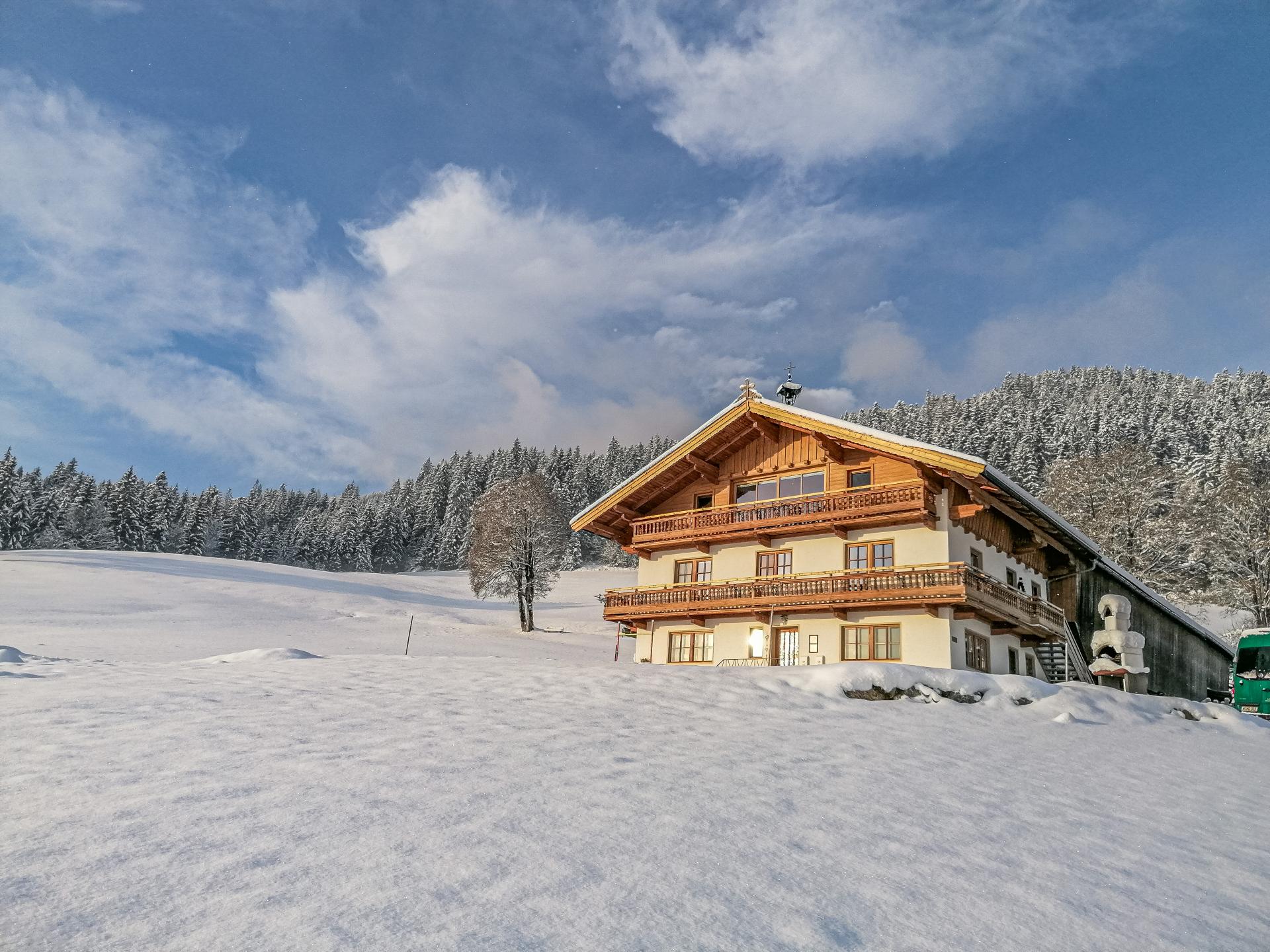 Ruim appartement op boerderij met panoramisch bergzicht in Hopfgarten - foto 28