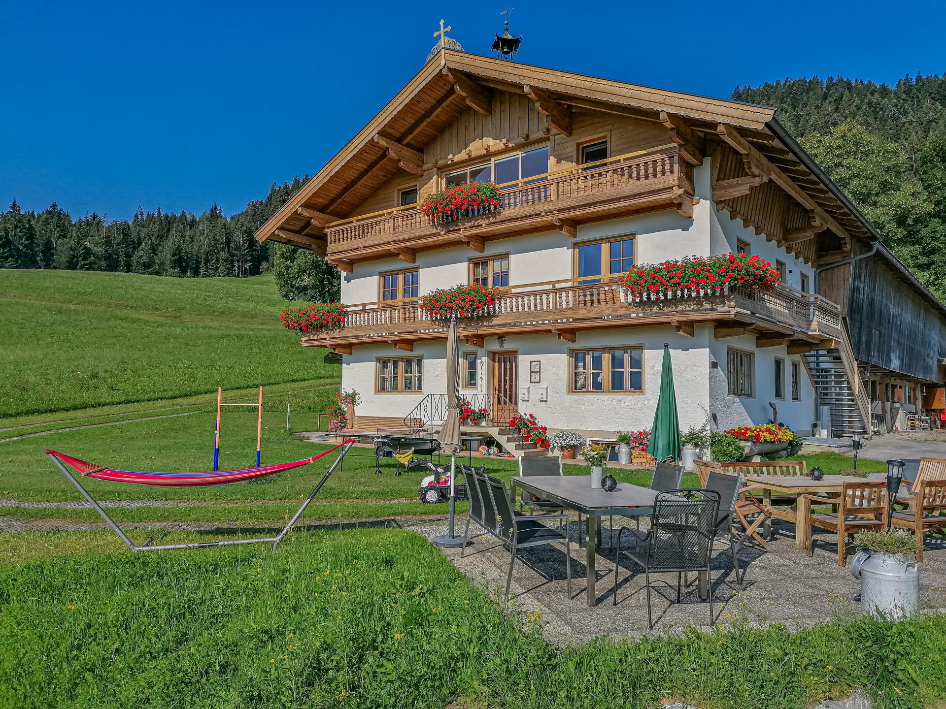 Ruim appartement op boerderij met panoramisch bergzicht in Hopfgarten - foto 14