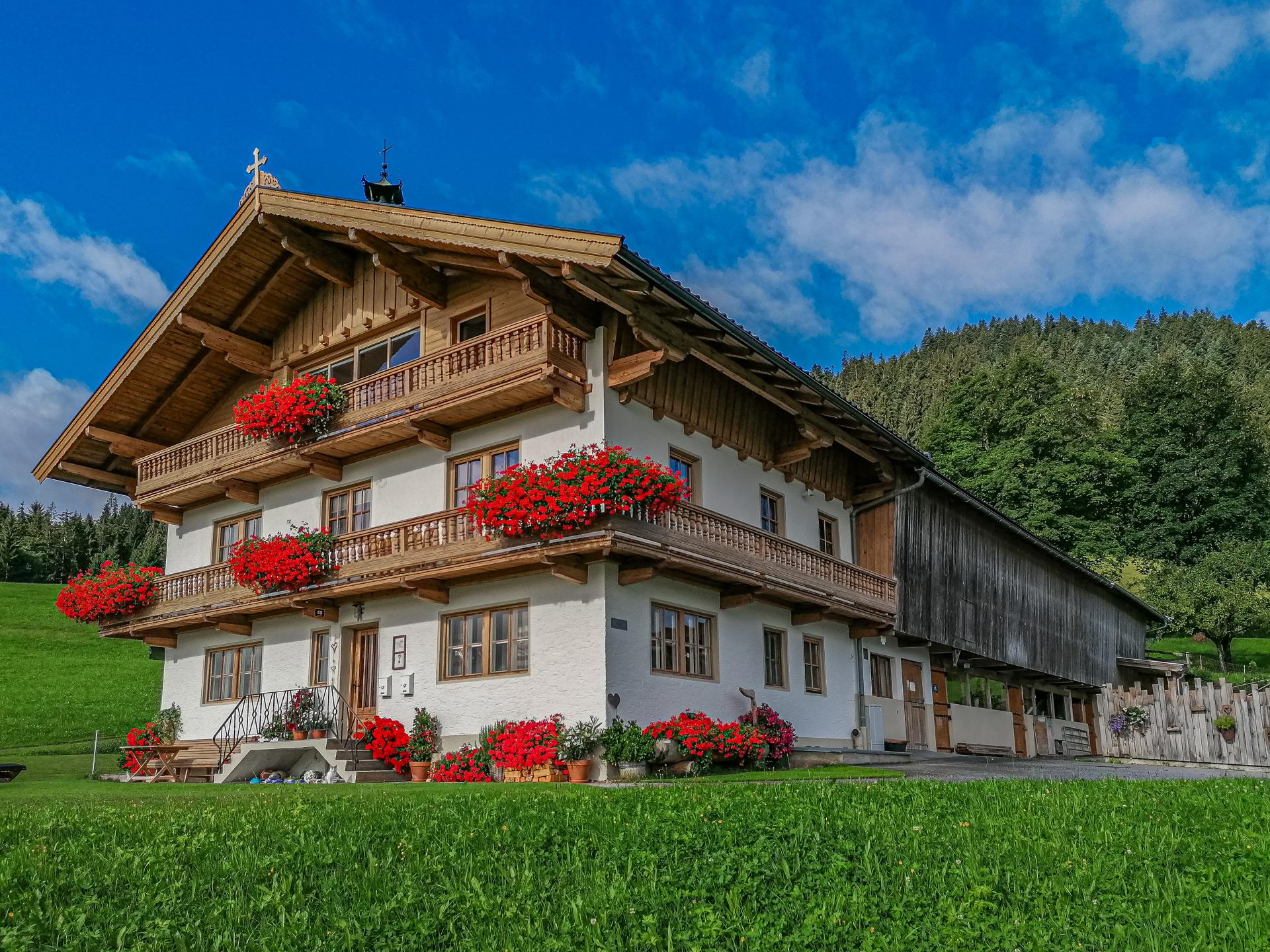 Ruim appartement op boerderij met panoramisch bergzicht in Hopfgarten - foto 33