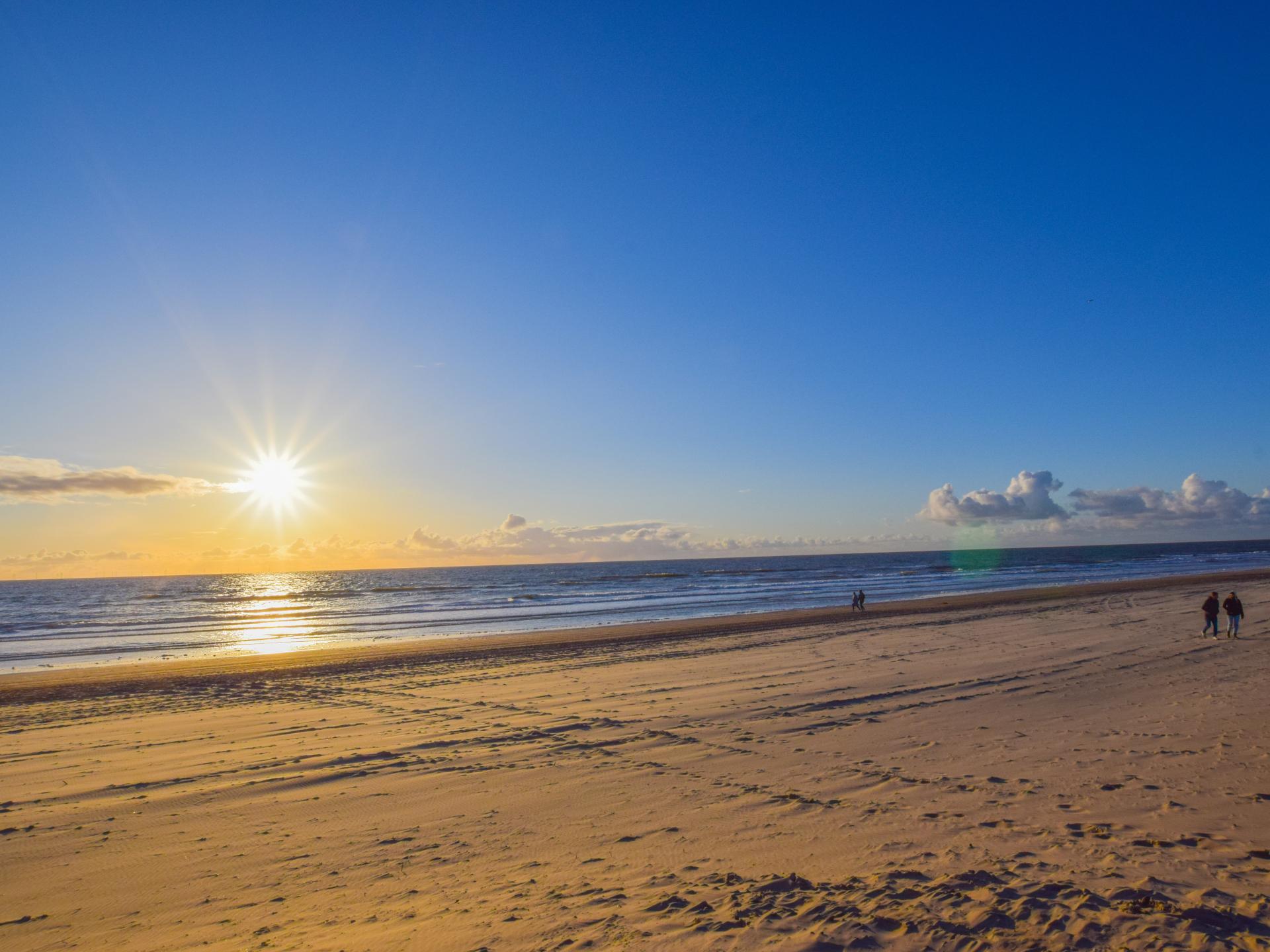 Vrijstaand vakantiehuis op boerderij, 7 km van strand Egmond - foto 30