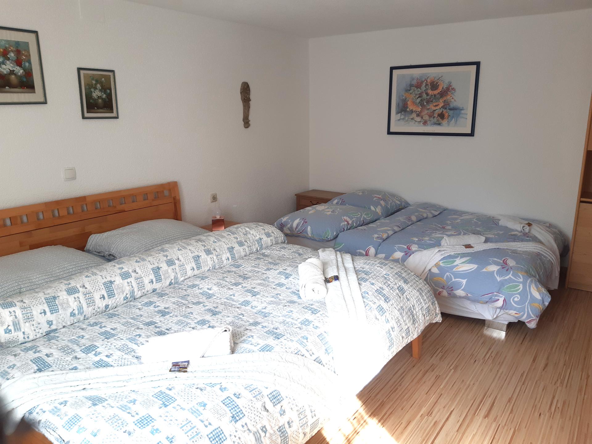 Aan de piste: Rustig appartement in het centrum van Vandans - foto 5