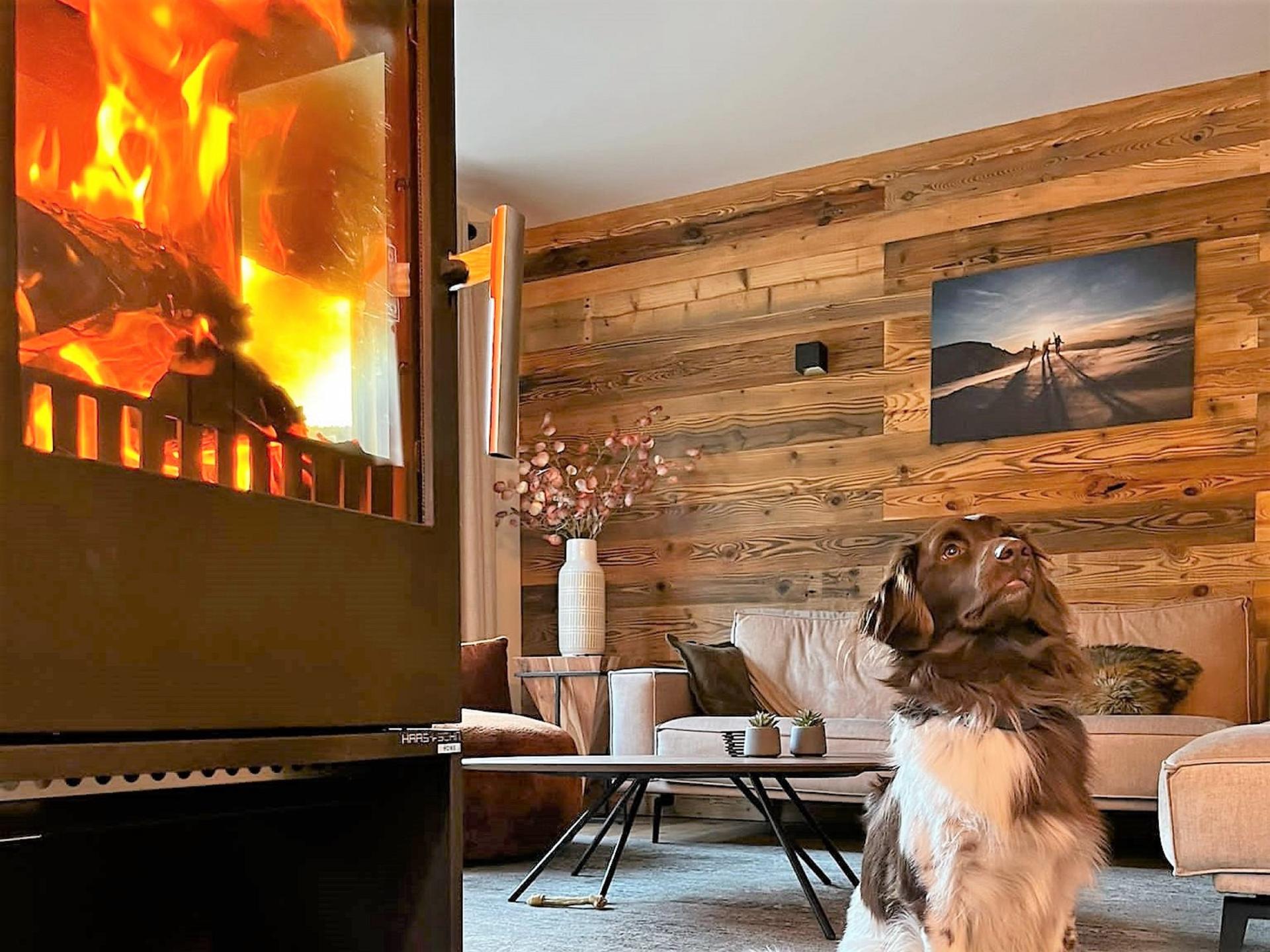 Luxe chalet voor 10 personen met sauna, direct aan de piste in Kreischberg - foto 37