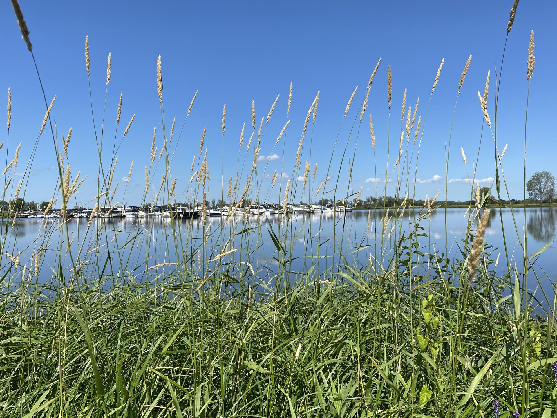 Knus vakantiehuis op vakantiepark aan de haven van Stevensweert - foto 48