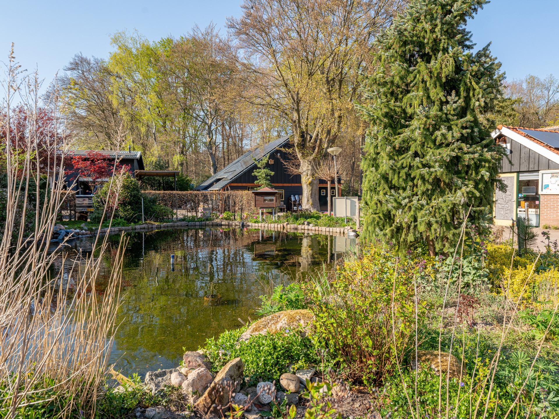 Knus chalet met panoramisch uitzicht op de Veluwse bossen - foto 24
