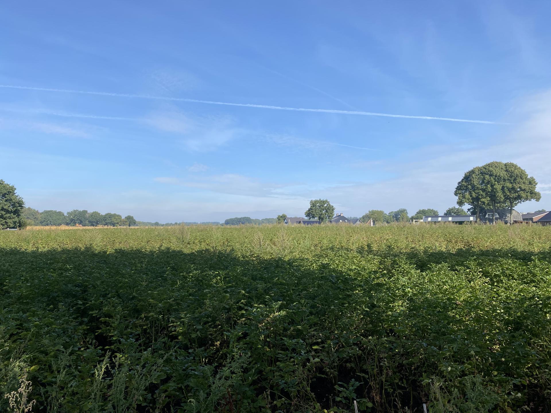 Wellness vakantiehuis met uitzicht op de Veluwe, 6 pers - foto 28
