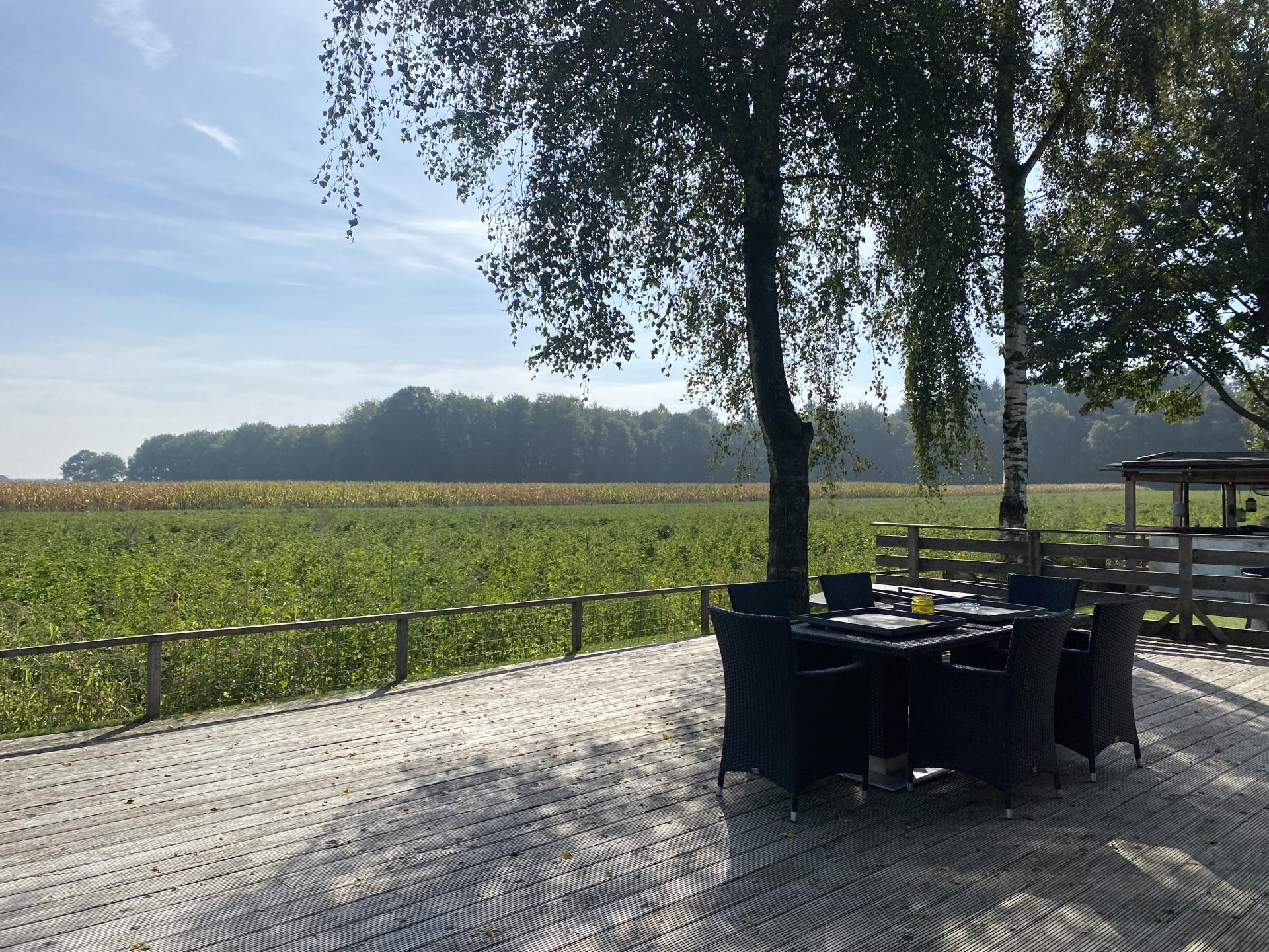 Wellness vakantiehuis met uitzicht op de Veluwe, 6 pers - foto 30