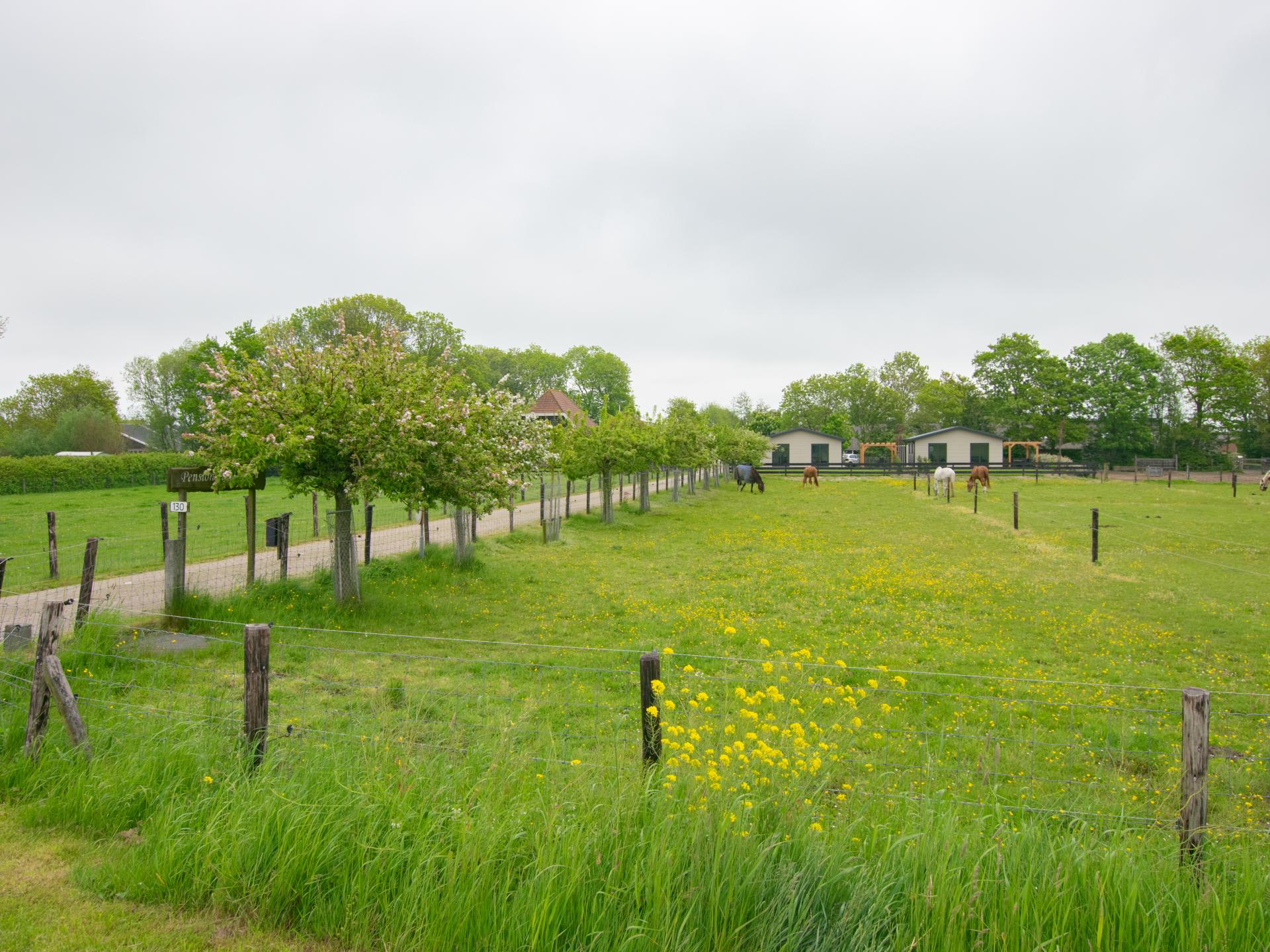 Licht chalet op boerderij met weids uitzicht, 7 km van zee - foto 25