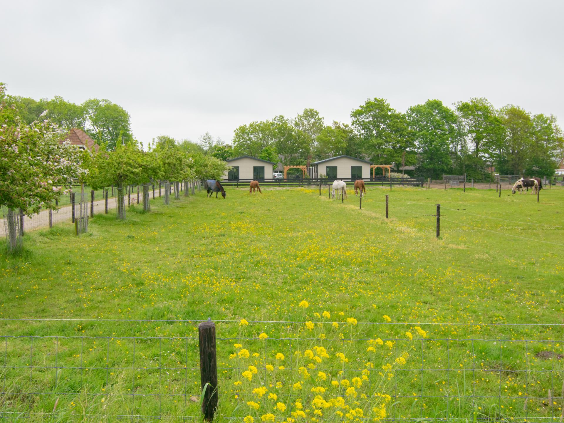 Rustig chalet met weids uitzicht, strand op 7 km in Heiloo - foto 31