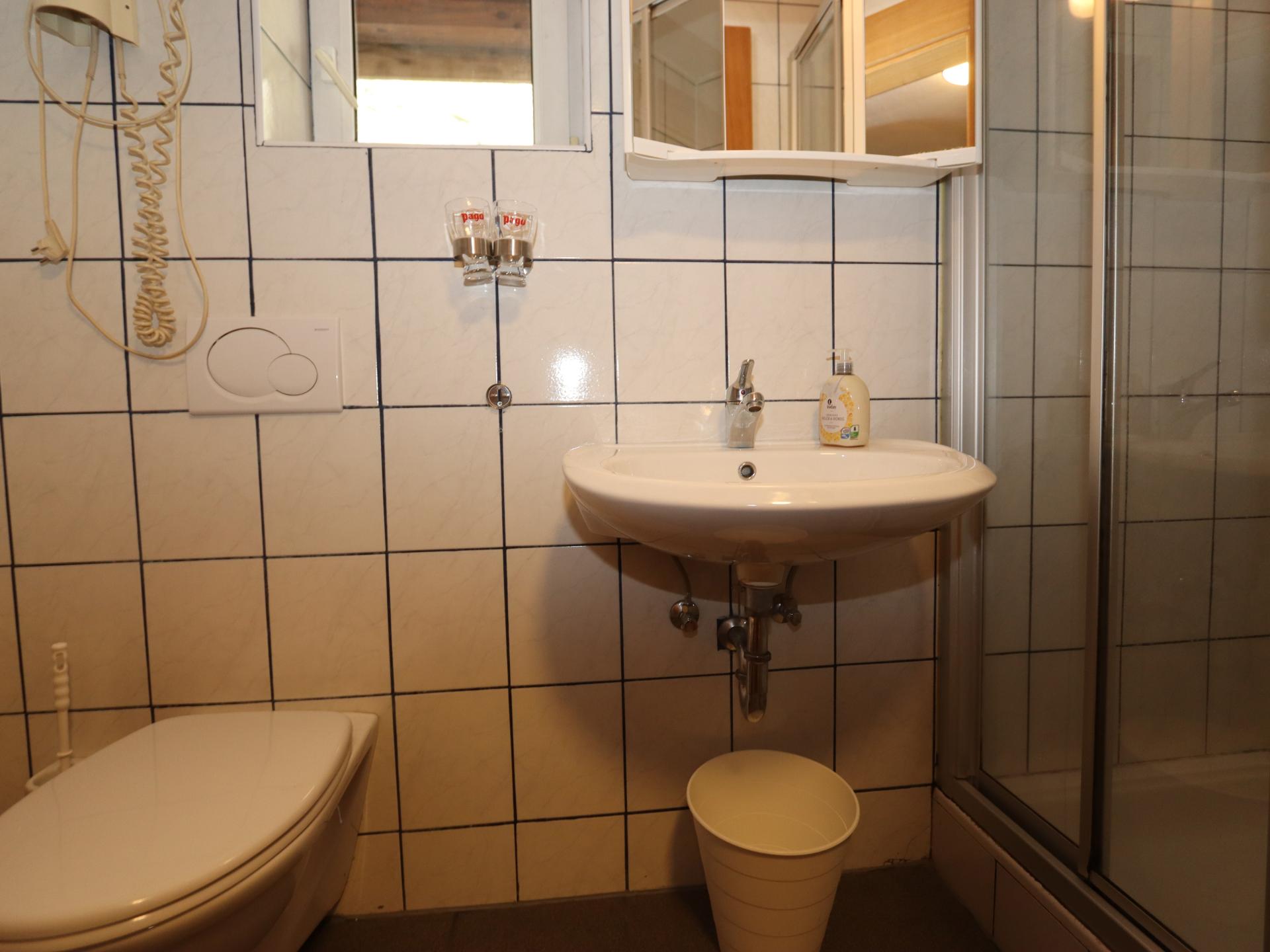 Grootschalig vakantiehuis voor 30 personen met privésauna, bar en biljart direct aan de piste - foto 17