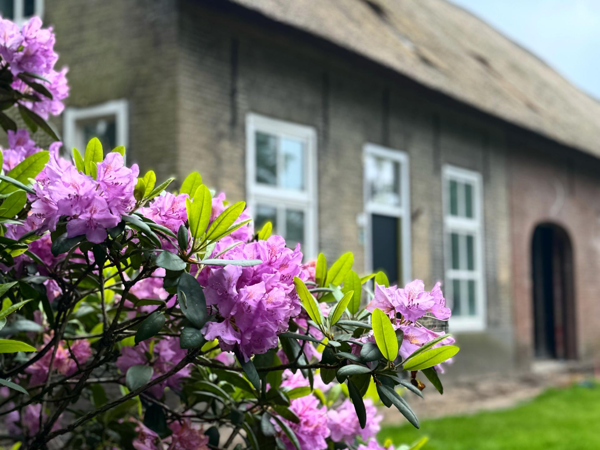 Monumentale hoeve met tuin: luxe vakantiehuis voor 10 personen bij Breda - foto 27