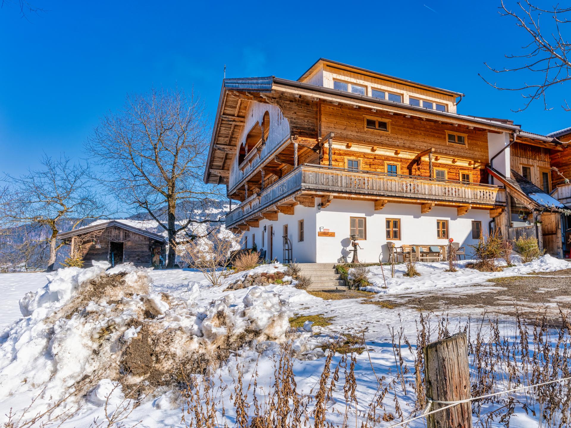Ruime loft op Tiroler boerderij met panoramisch uitzicht aan de piste - foto 30