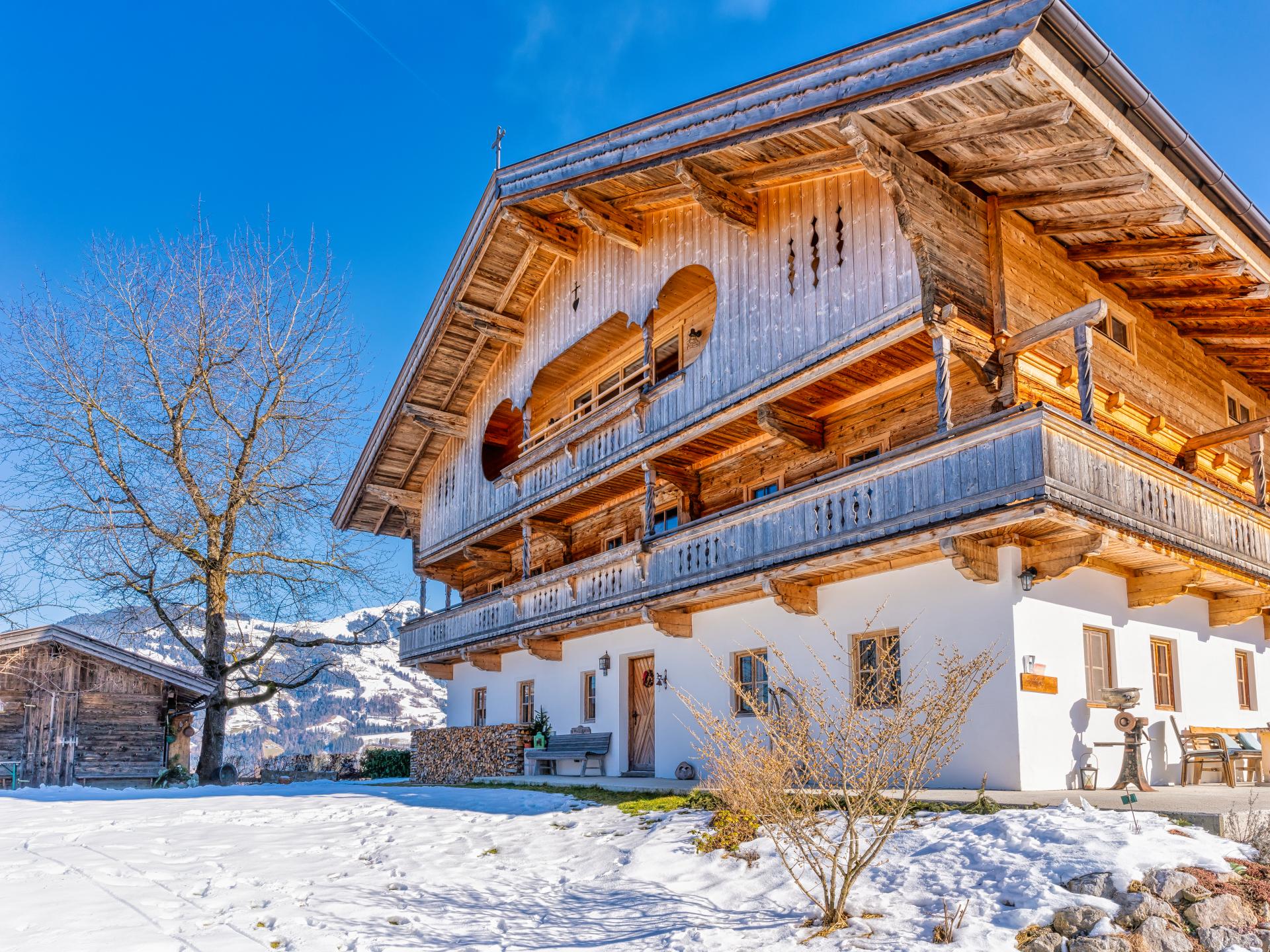 Ruime loft op Tiroler boerderij met panoramisch uitzicht aan de piste - foto 33