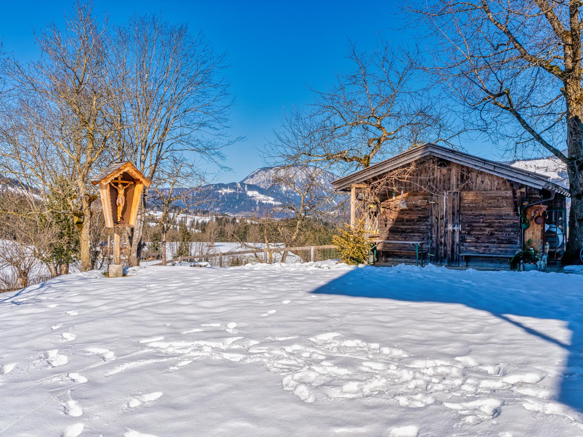 Ruime loft op Tiroler boerderij met panoramisch uitzicht aan de piste - foto 32