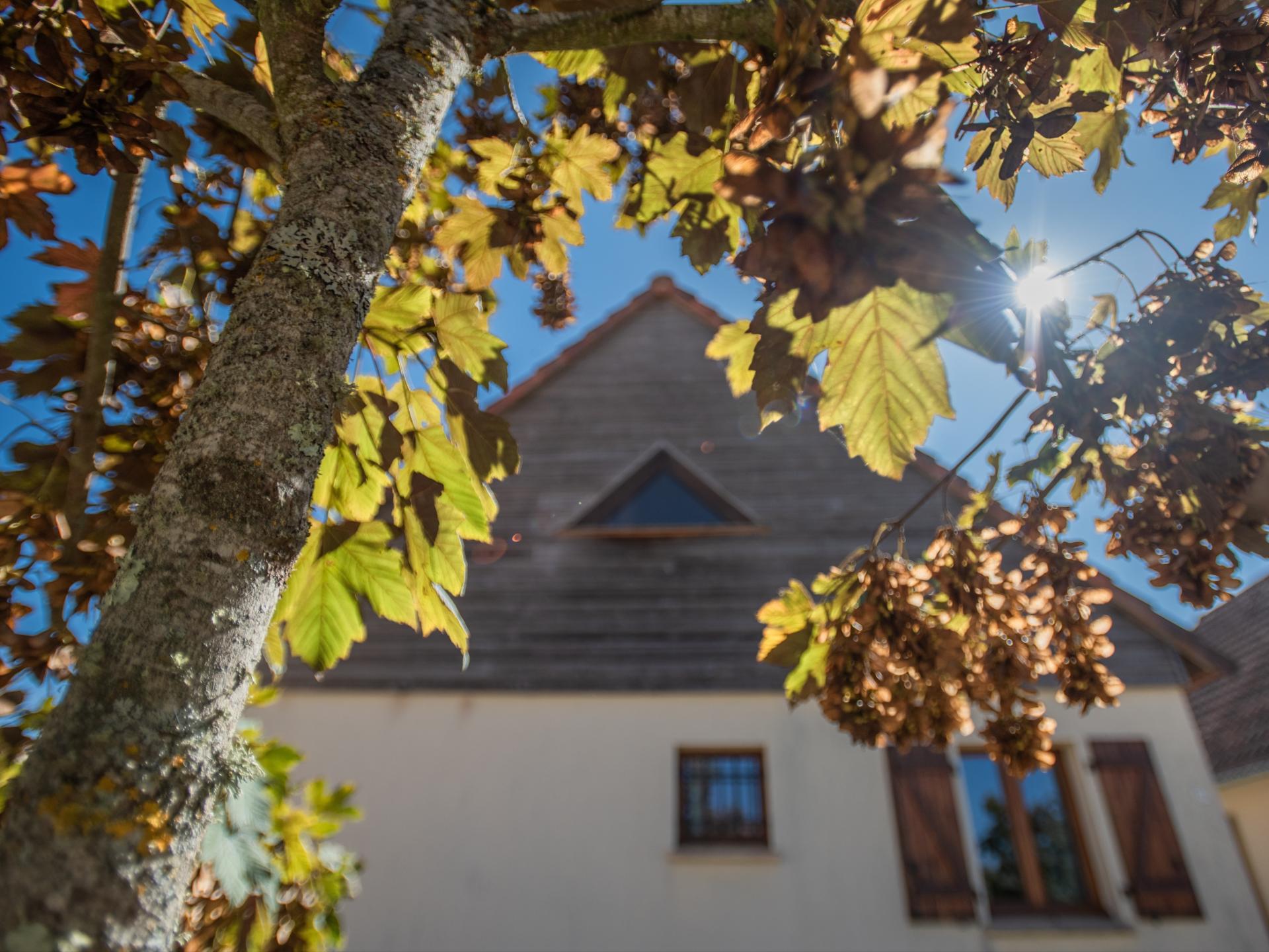 Op 700m van het centrum: Vrijstaand vakantiehuis in Lacapelle Marival - foto 24