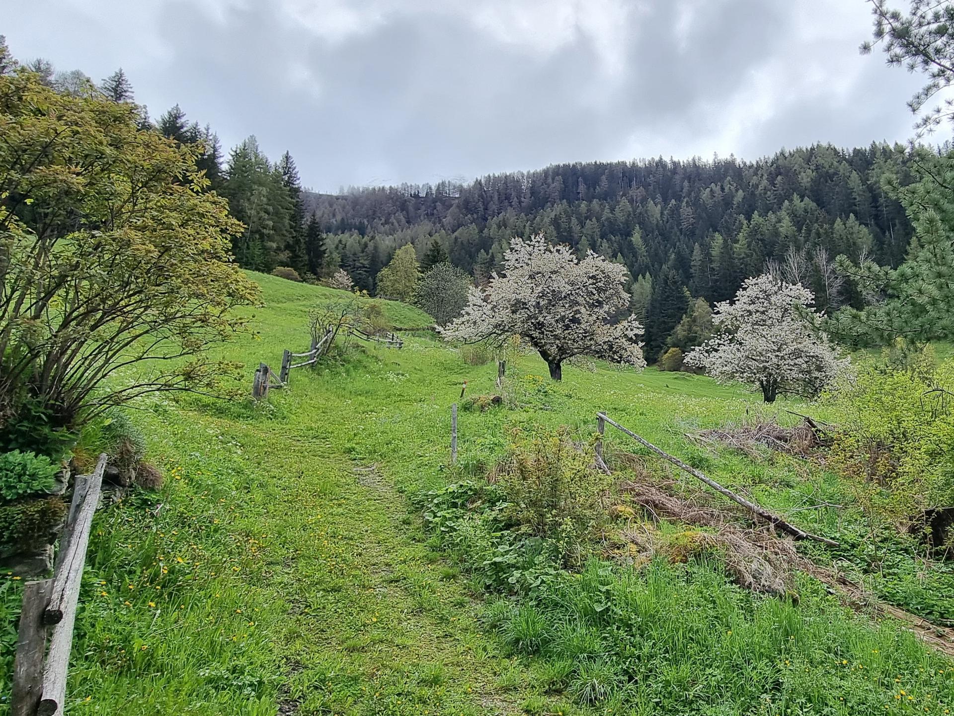 Vrijstaand vakantiehuis op 1300m in Tobadill met panoramisch uitzicht - foto 22