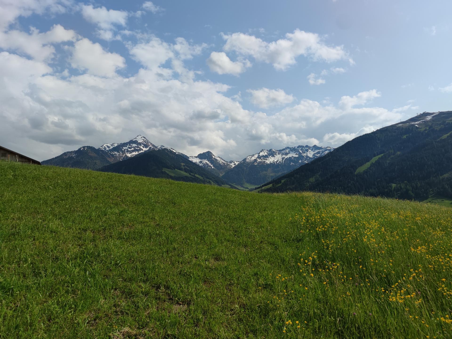 Panoramachalet direct aan de piste in Alpbach voor 11 personen - foto 26