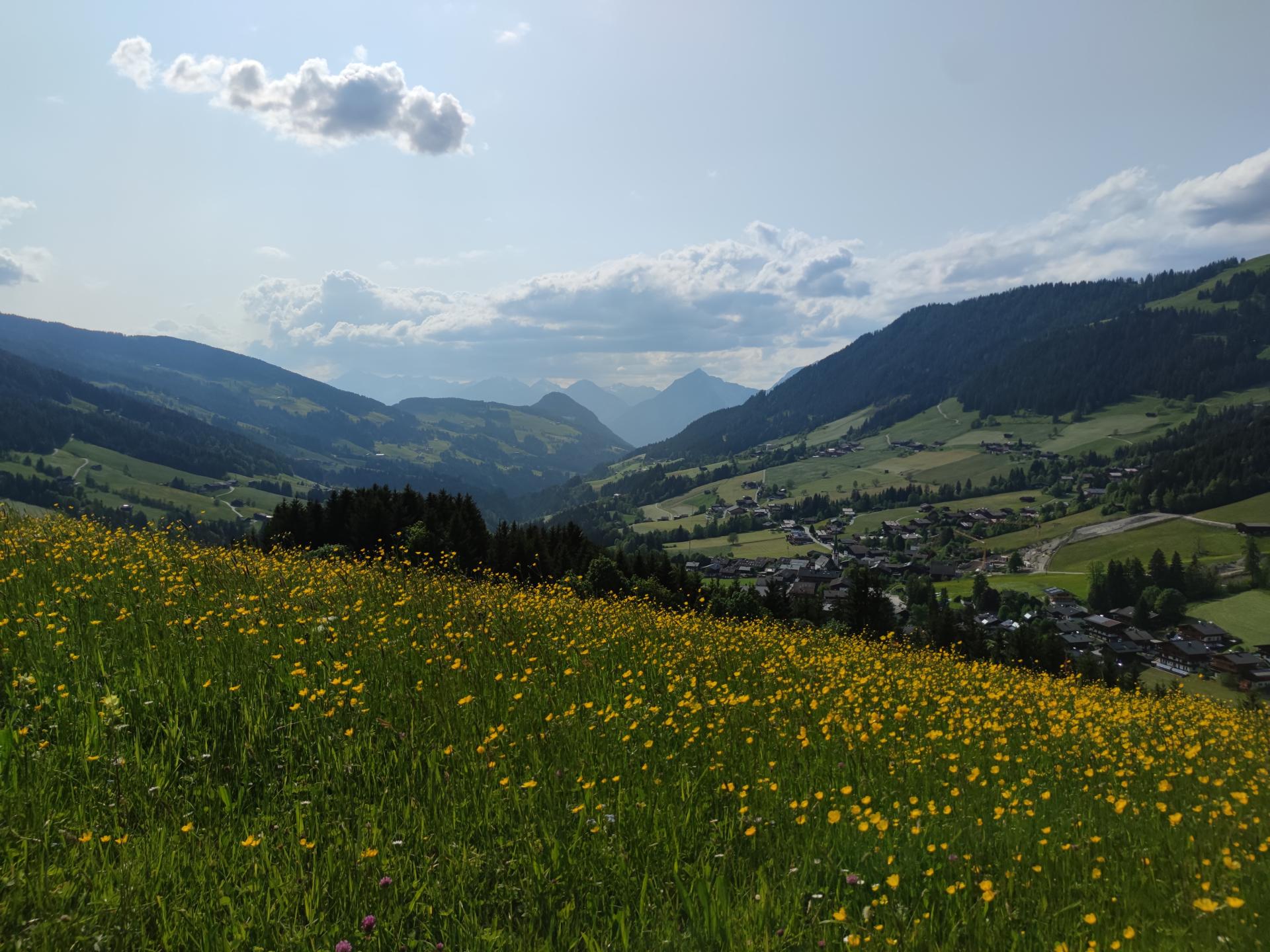 Panoramachalet direct aan de piste in Alpbach voor 11 personen - foto 25
