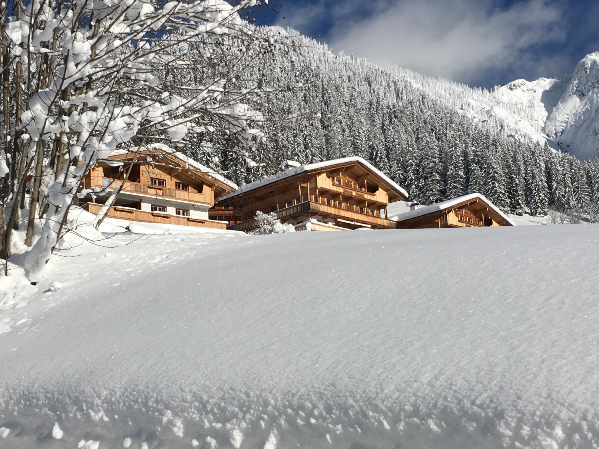 Aan de piste: Sfeervol appartement in Alpbach voor 5 personen - foto 29