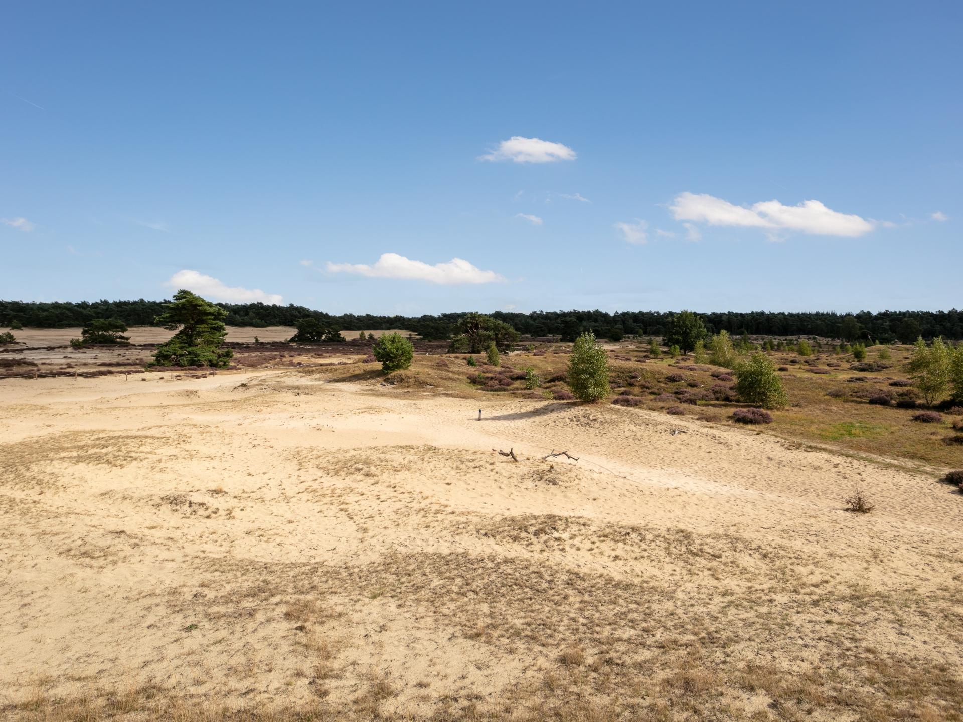 Romantisch chalet met sauna en hottub midden op de Veluwe - foto 41