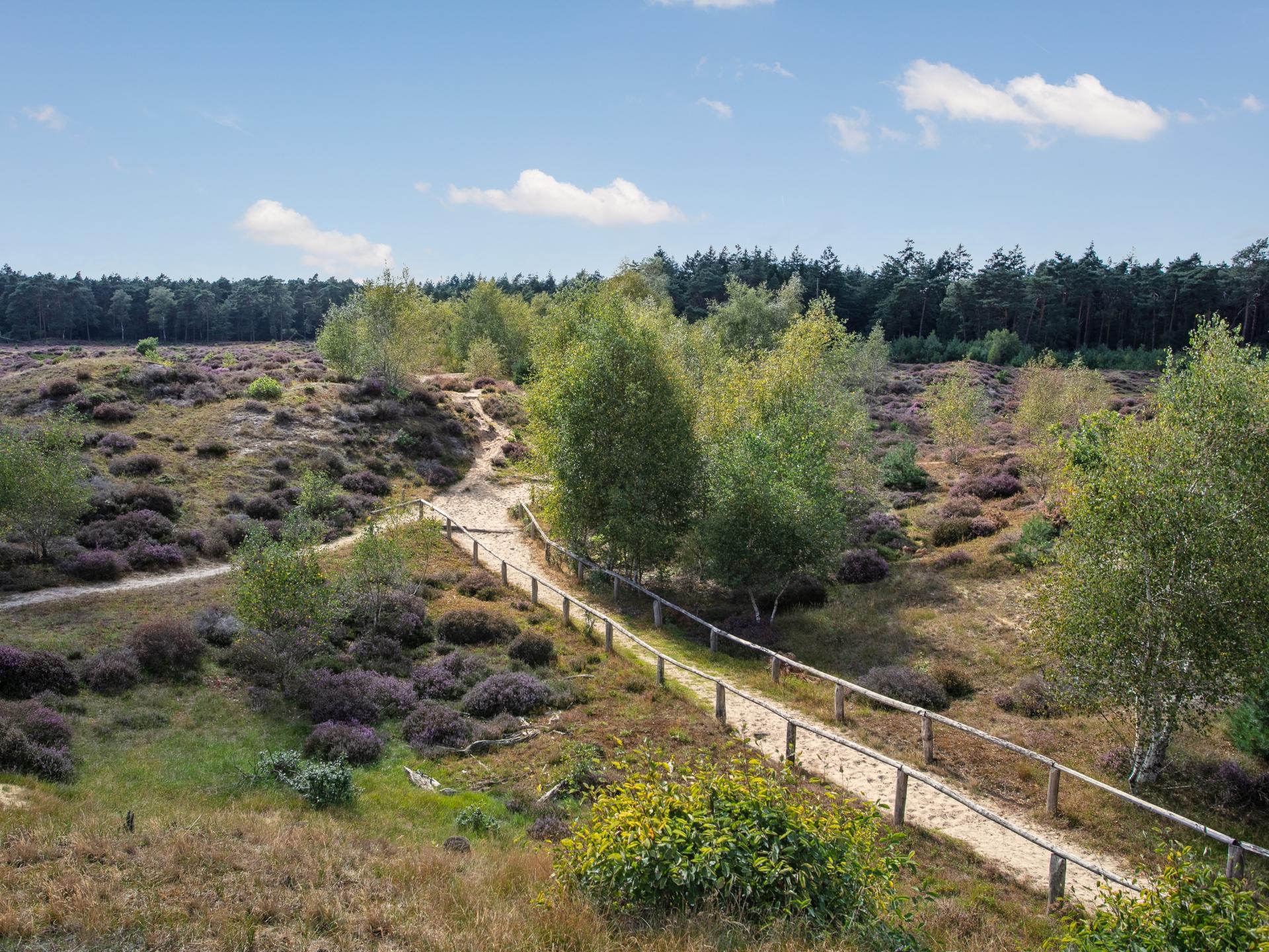 Romantisch chalet met sauna en hottub midden op de Veluwe - foto 40