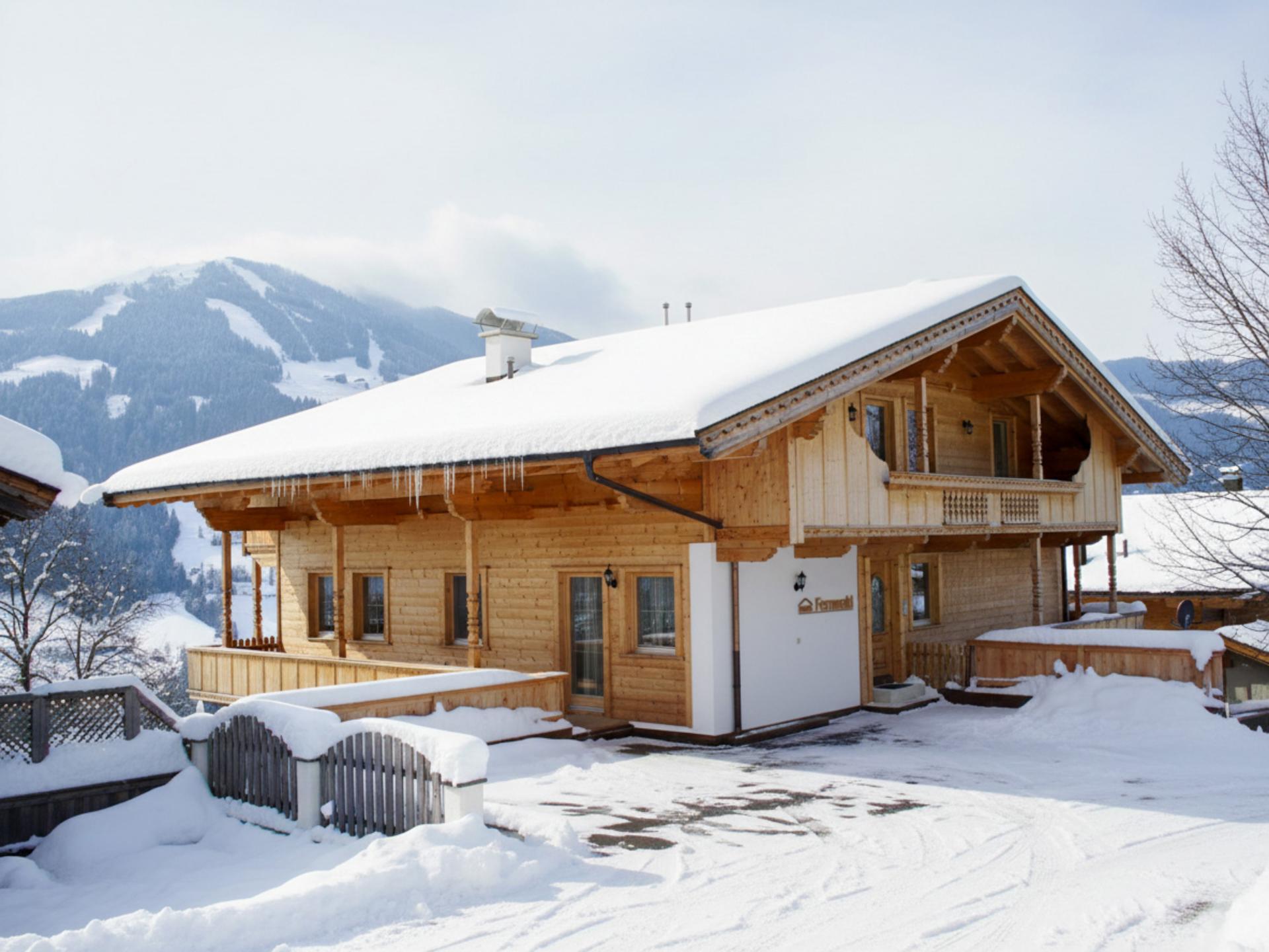 Groepsappartement Alpbach: ski-in comfort voor 9 personen op 5 minuten van de lift - foto 47