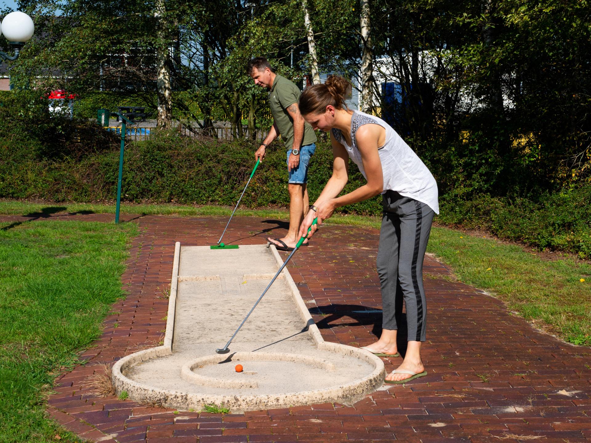 Modern chalet op vakantiepark Drentheland bij het Drents-Friese Wold - foto 14