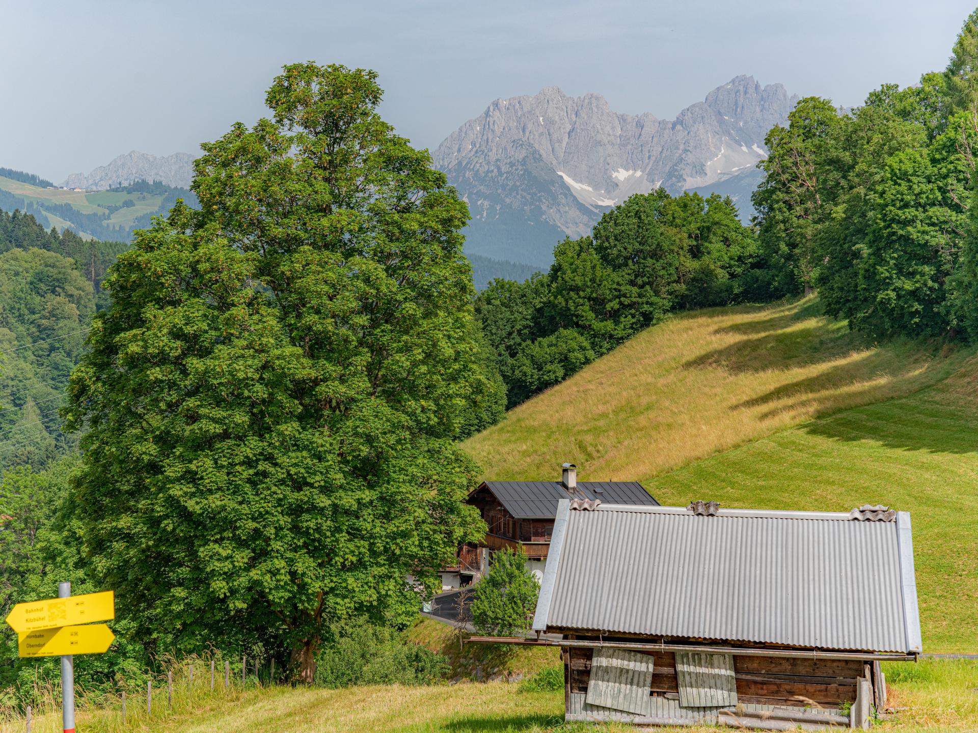 Luxe appartement aan de voet van de Kitzbüheler Horn met bergzicht - foto 31