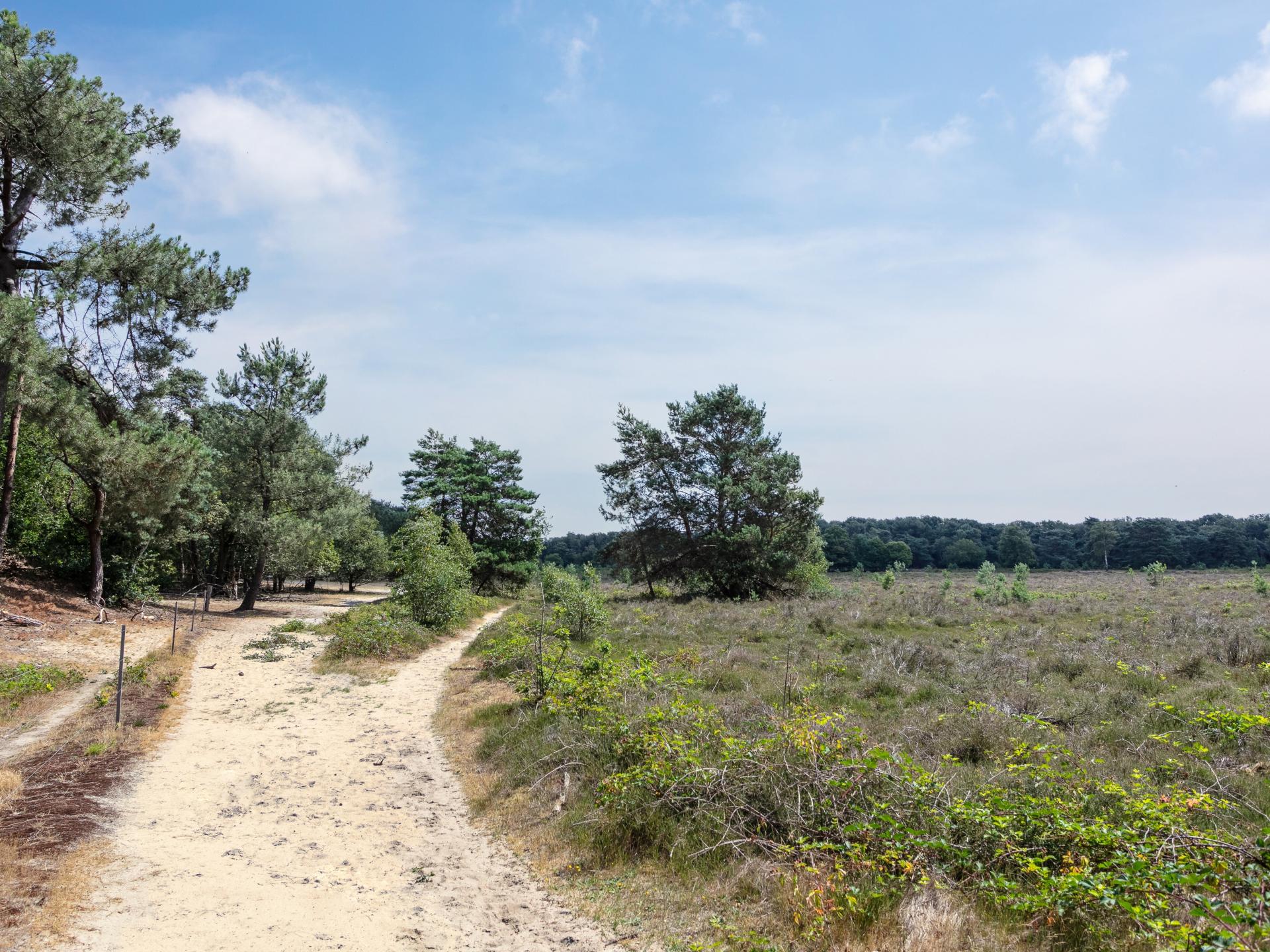 2-persoons vrijstaand vakantiehuis in Uden midden in het bos - foto 46