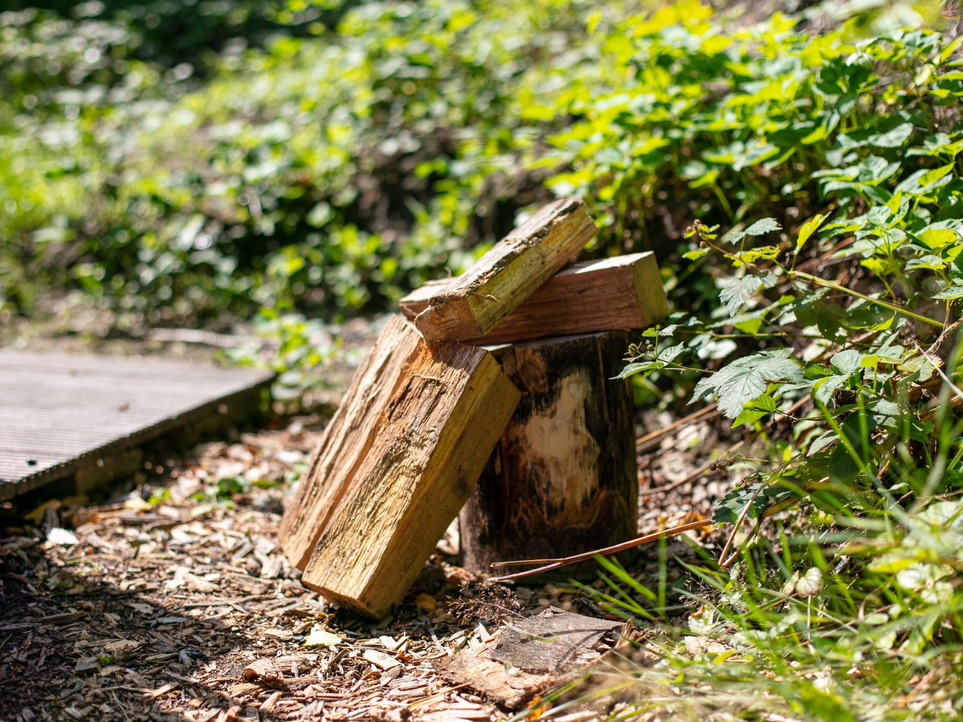2-persoons vrijstaand vakantiehuis in Uden midden in het bos - foto 40