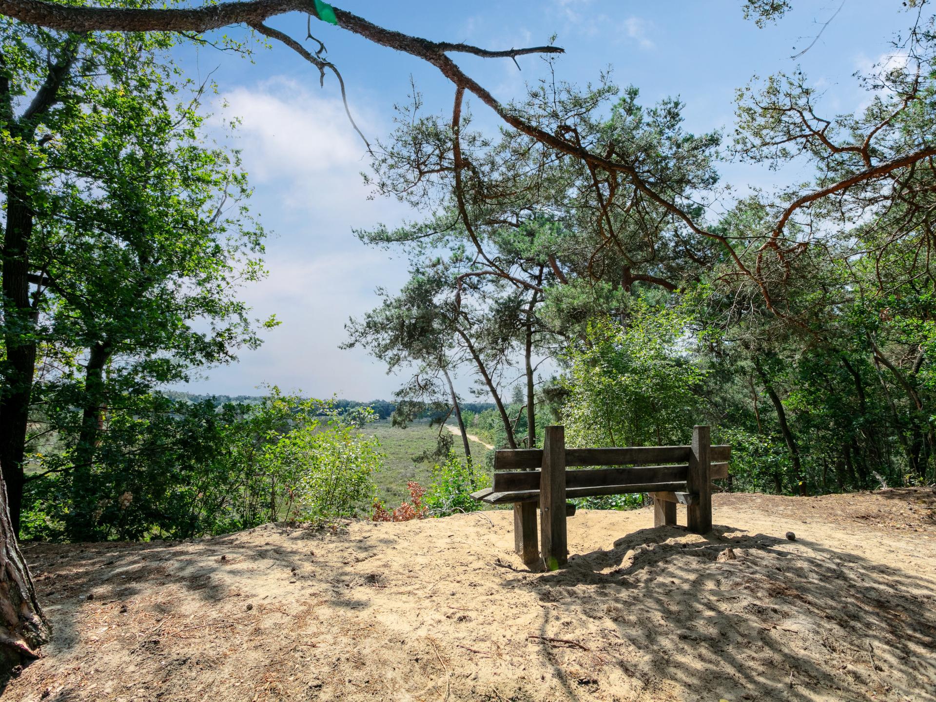 2-persoons vrijstaand vakantiehuis in Uden midden in het bos - foto 45