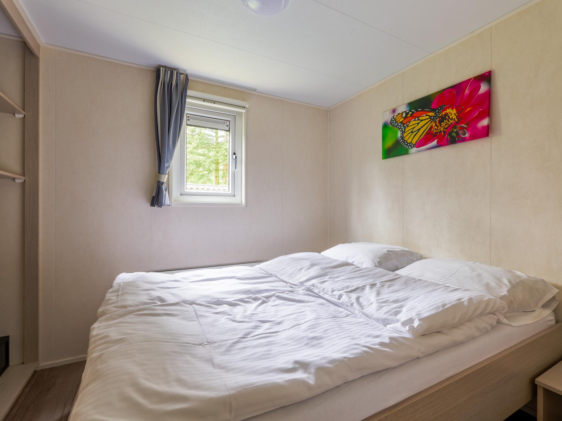 Chalet op bosrijke Brabantse camping met zwembad en avonturenpad - foto 12