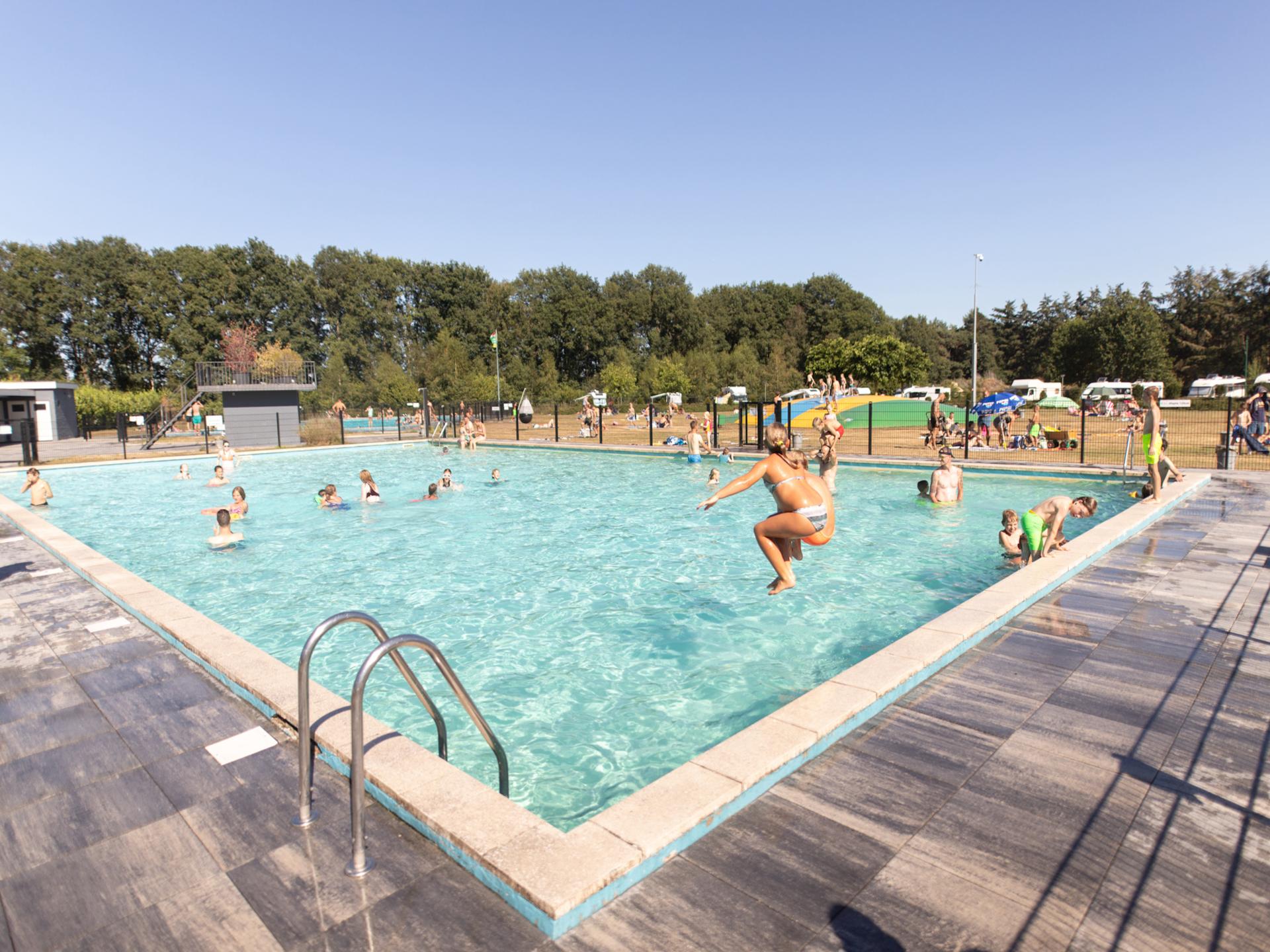Luxe glampingtent op bosrijk vakantiepark in Vessem, Brabant - foto 18